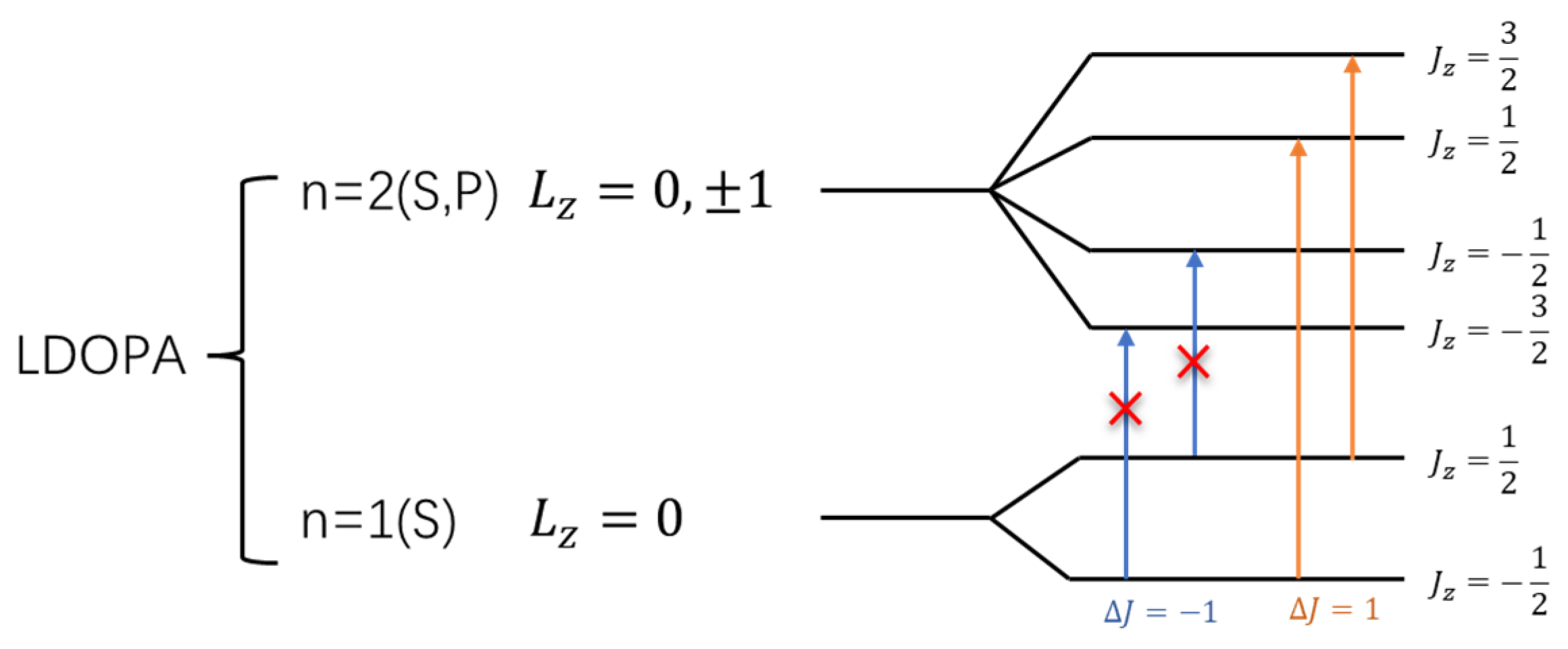 Molecules 28 06286 g037