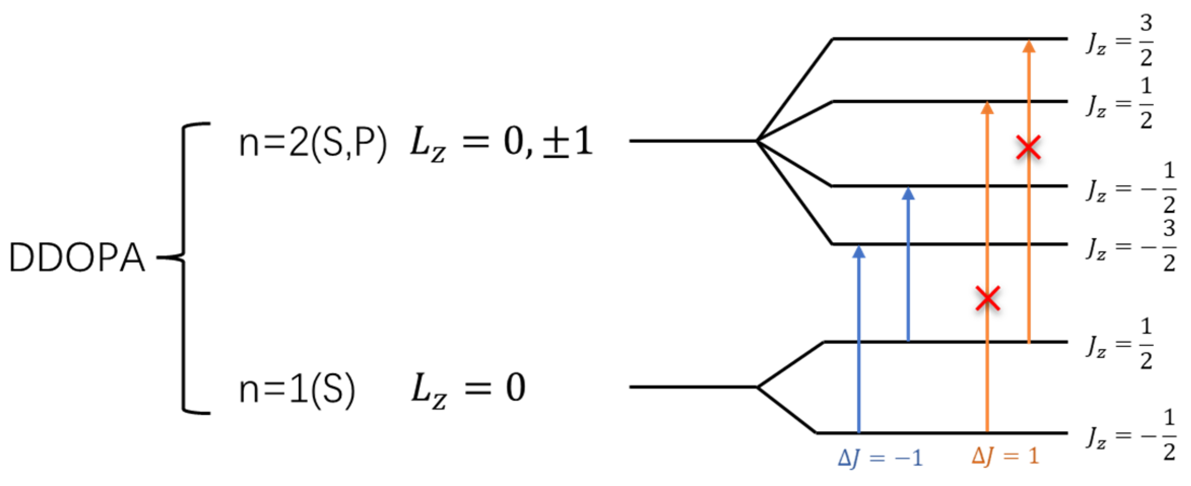 Molecules 28 06286 g038