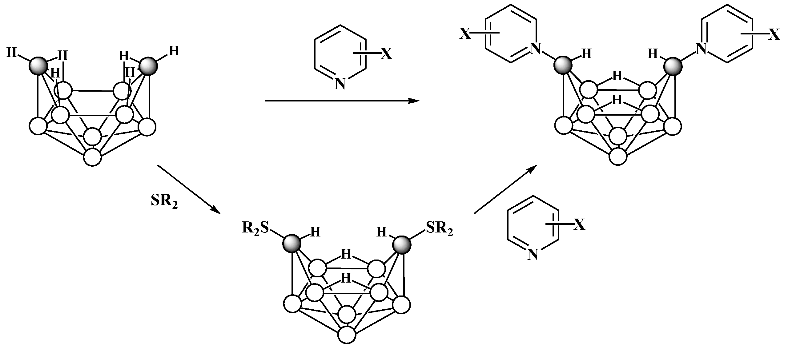 Molecules 28 06287 sch004 Molecules 28 06287 sch004