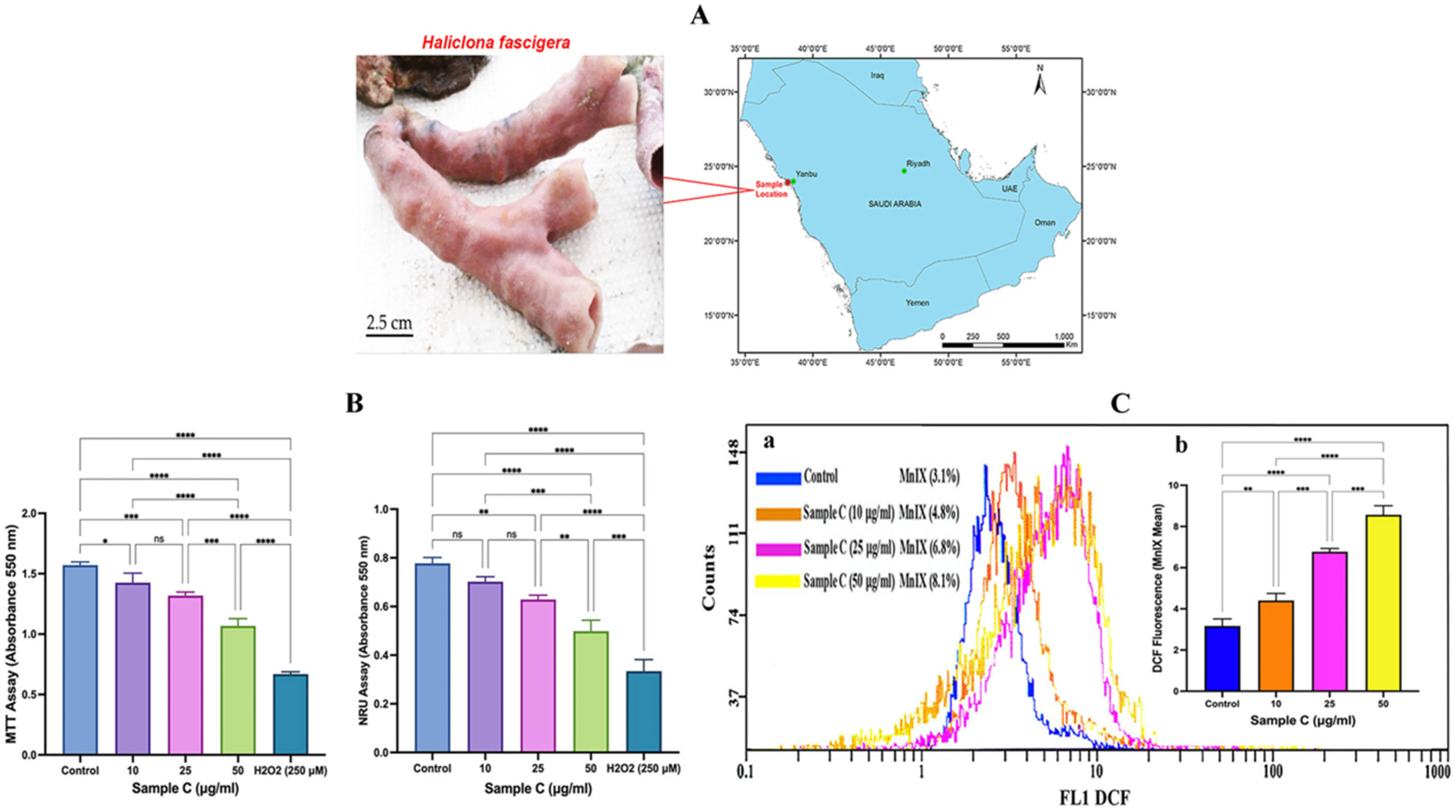 Molecules 28 06289 g001