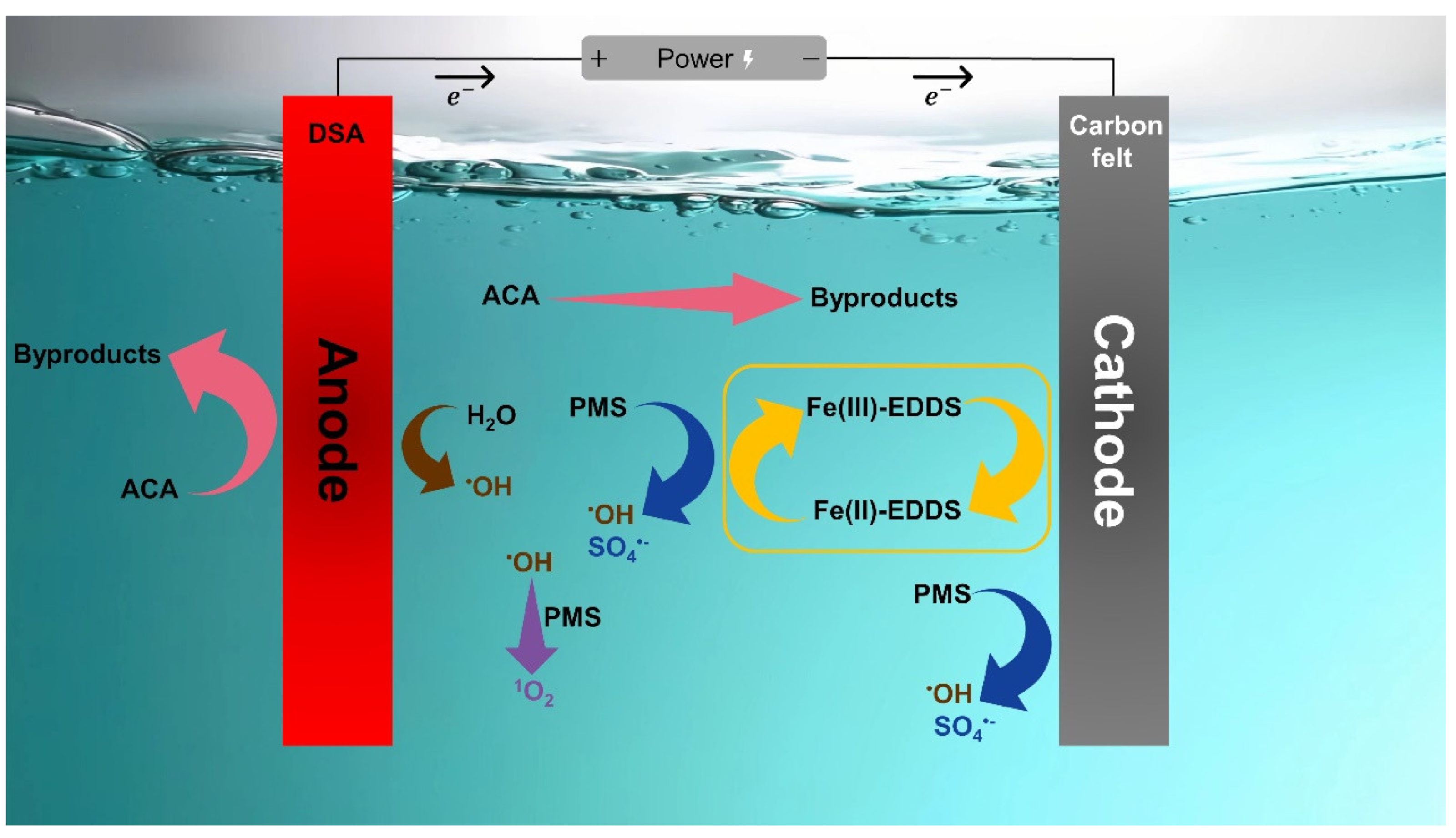 Molecules 28 06290 g005