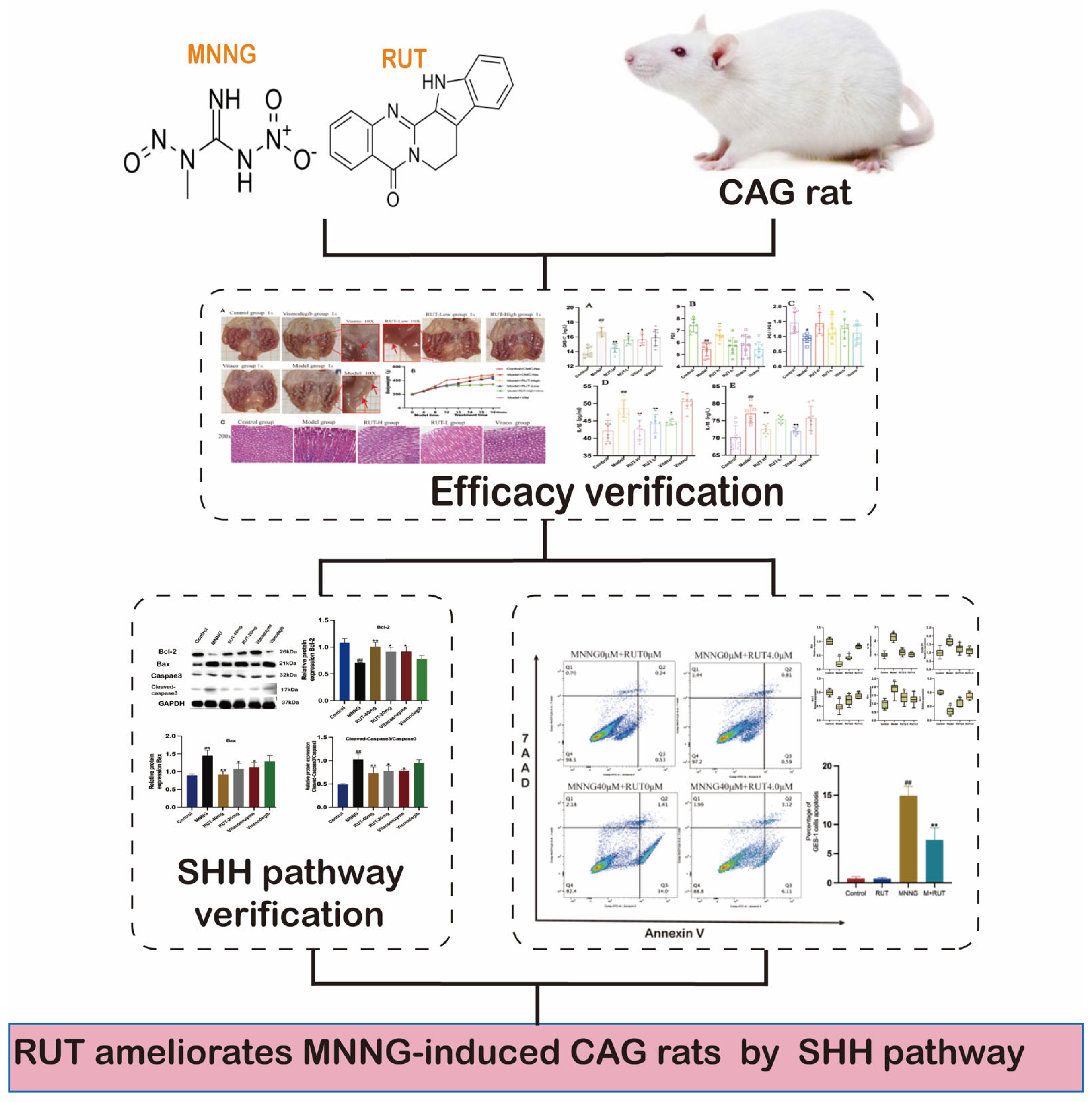 Molecules 28 06294 g001 Molecules 28 06294 g001