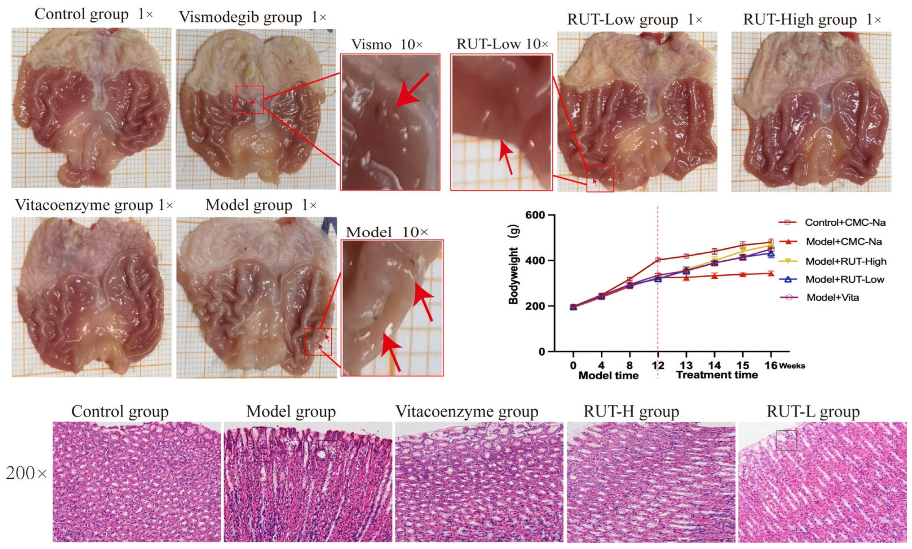 Molecules 28 06294 g005 Molecules 28 06294 g005