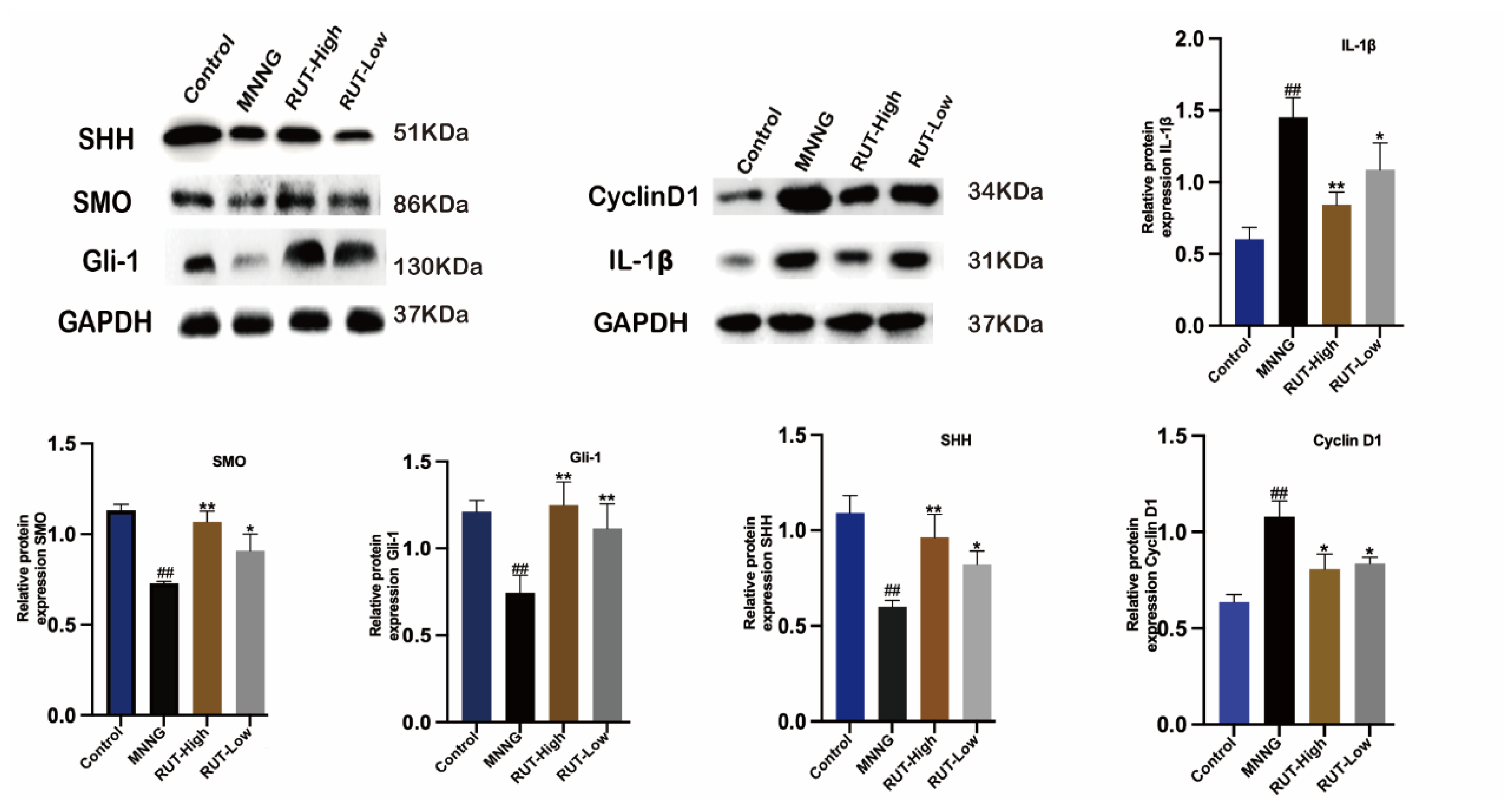 Molecules 28 06294 g008 Molecules 28 06294 g008