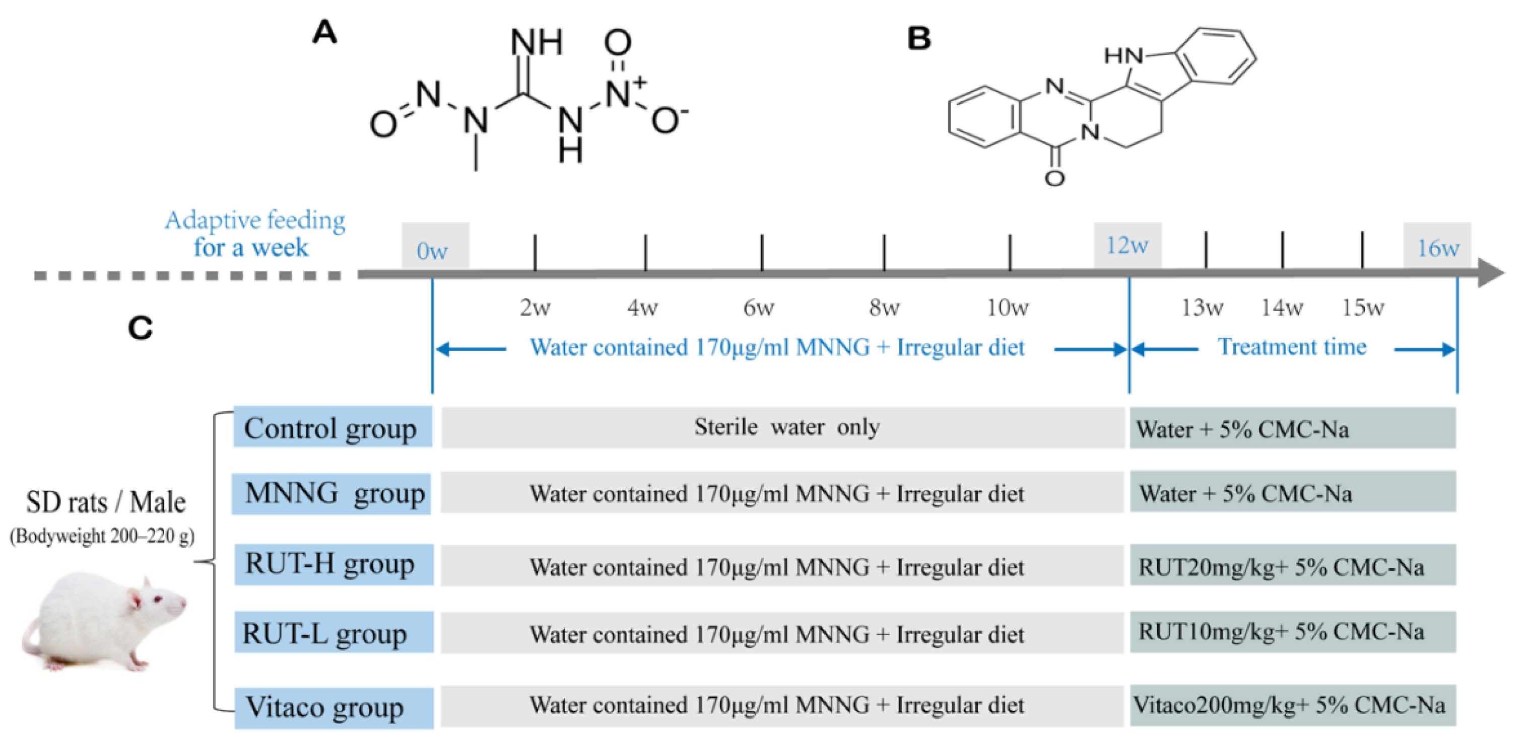Molecules 28 06294 g009 Molecules 28 06294 g009