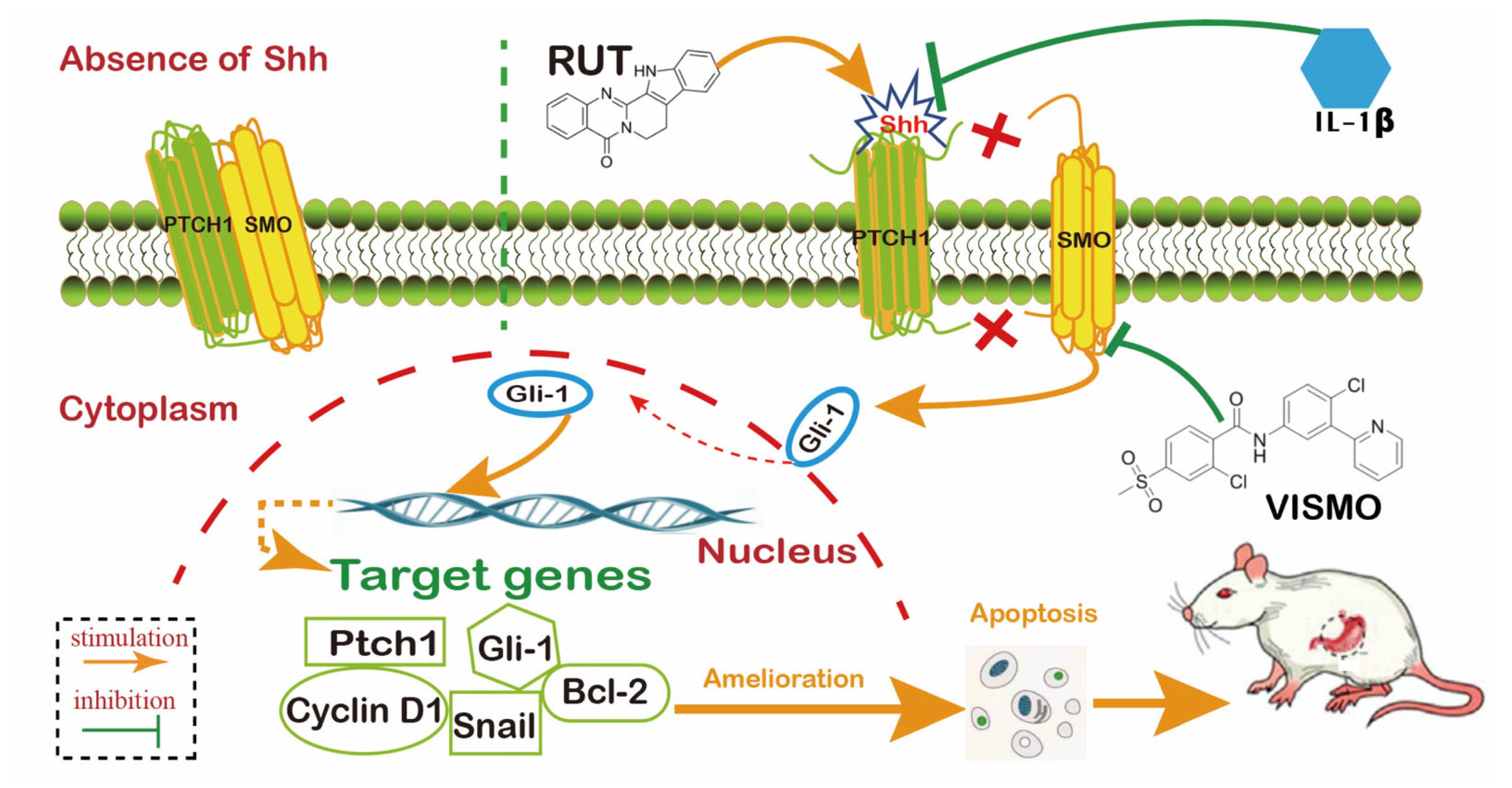 Molecules 28 06294 g010 Molecules 28 06294 g010