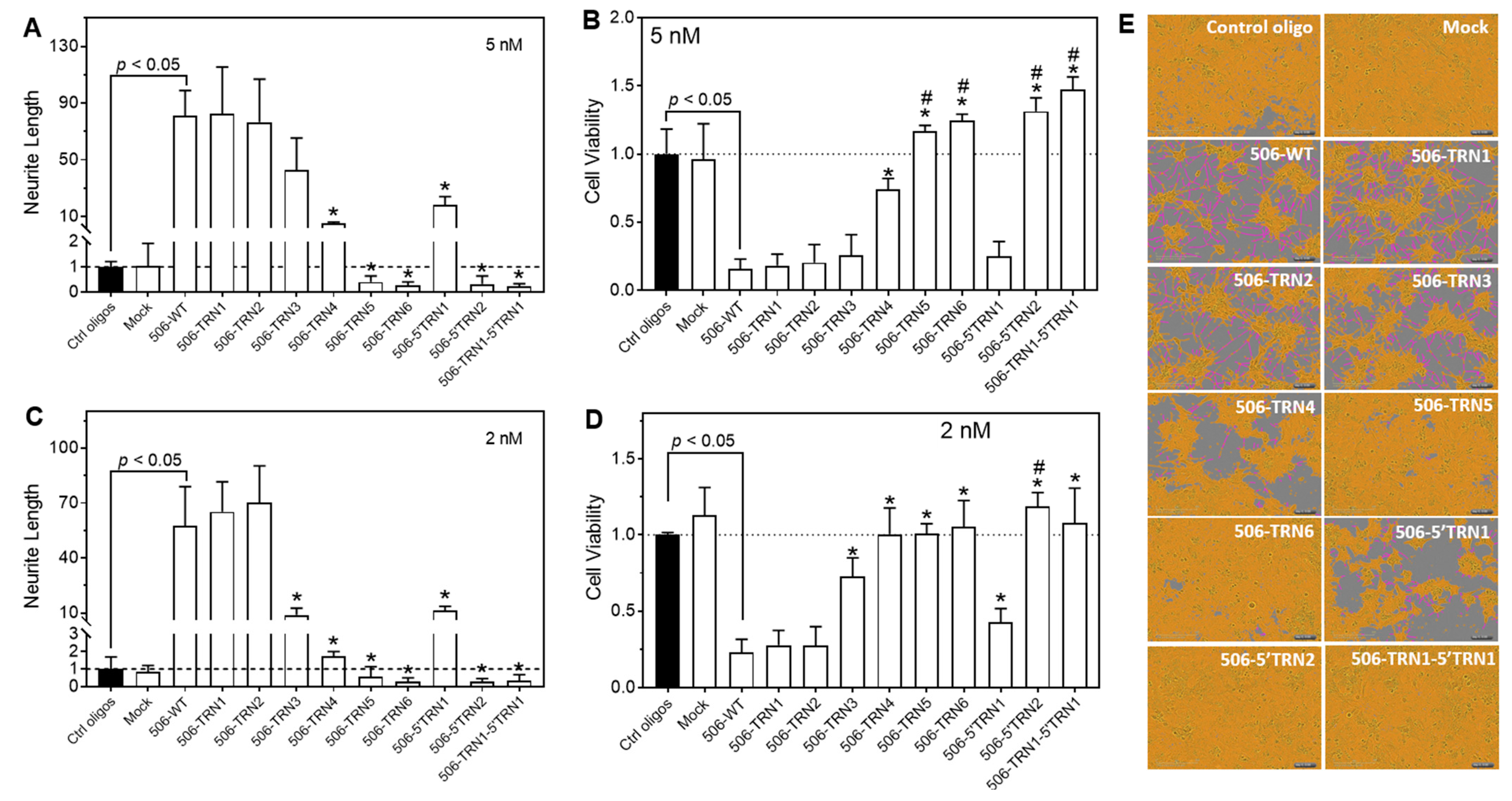 Molecules 28 06295 g002