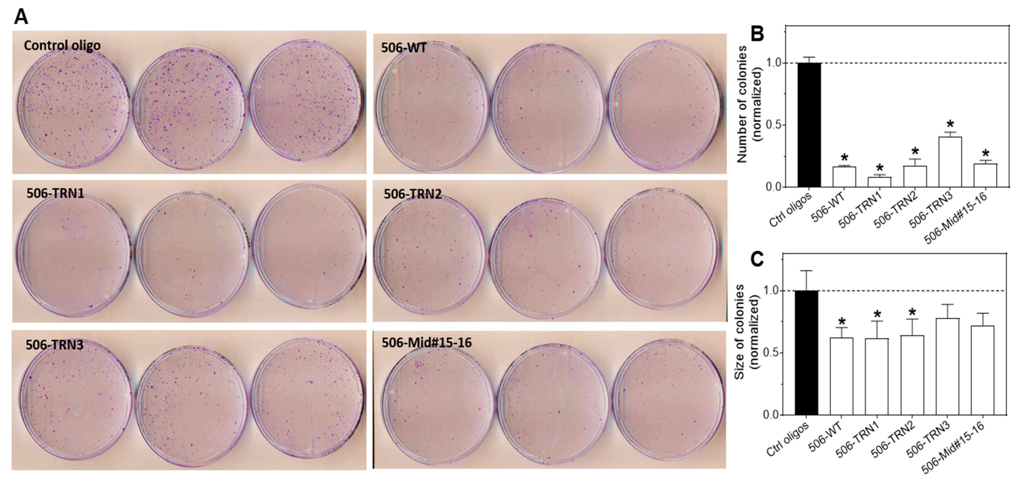 Molecules 28 06295 g007