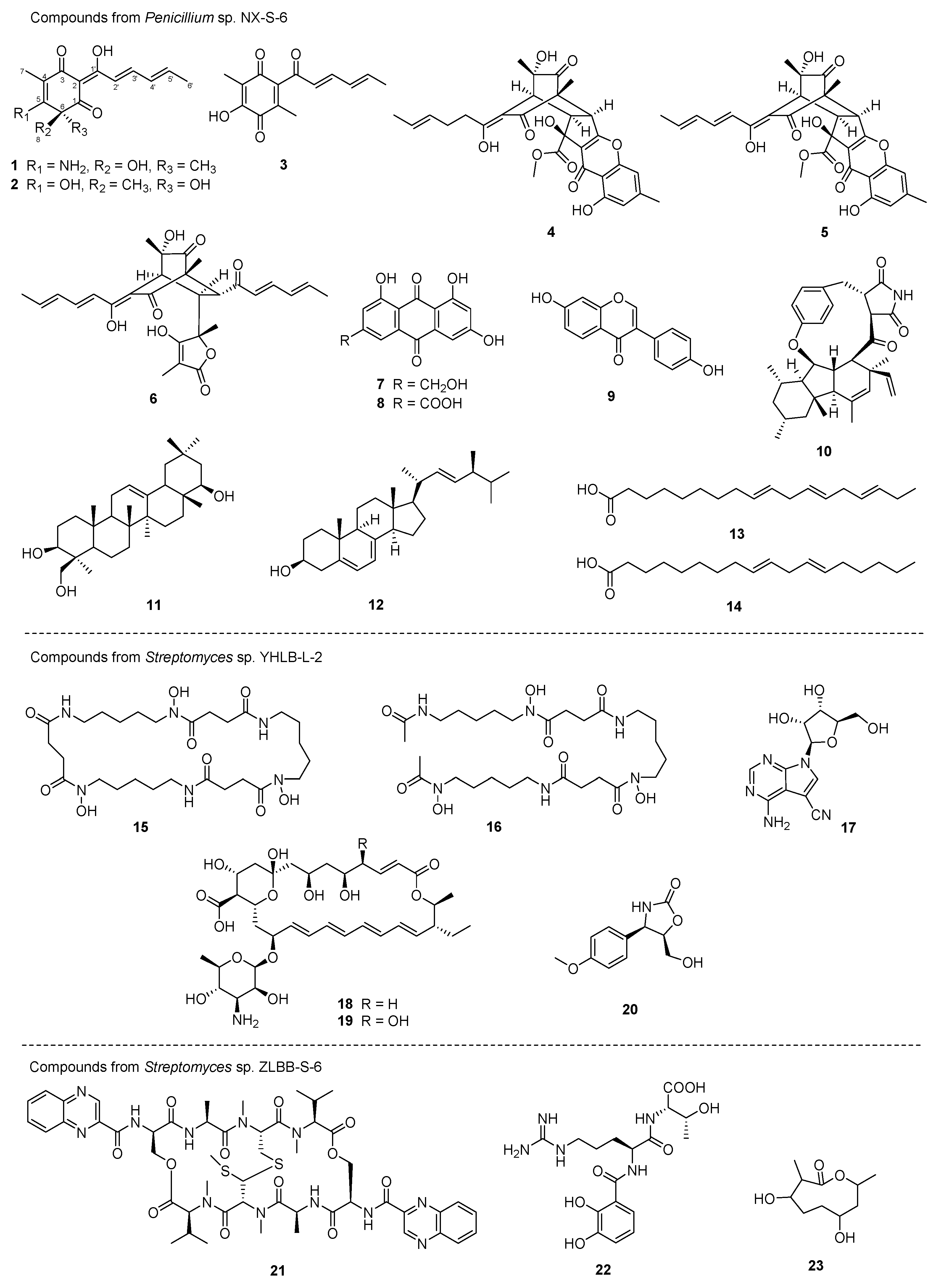 Molecules 28 06301 g002