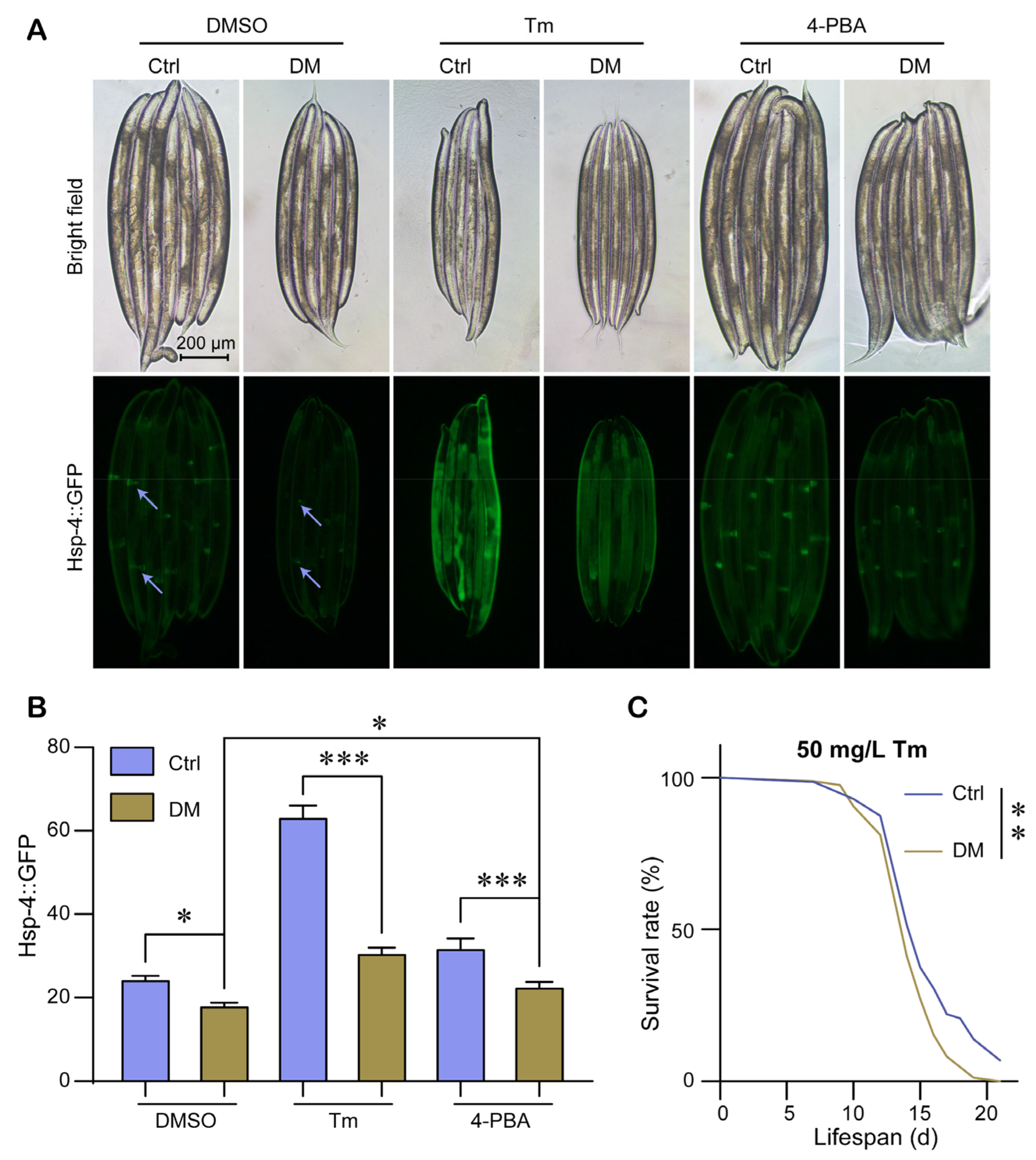 Molecules 28 06303 g003