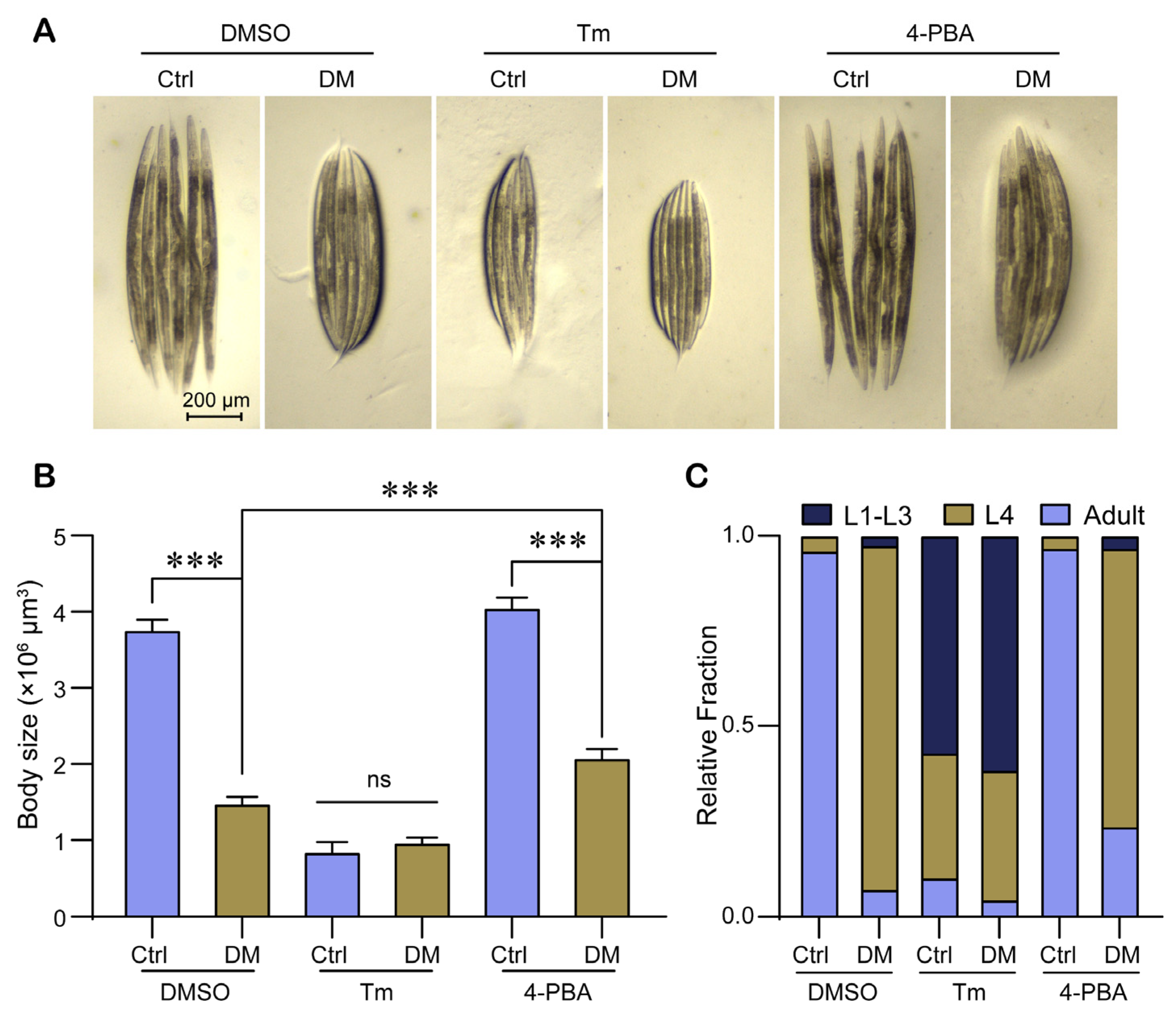 Molecules 28 06303 g005