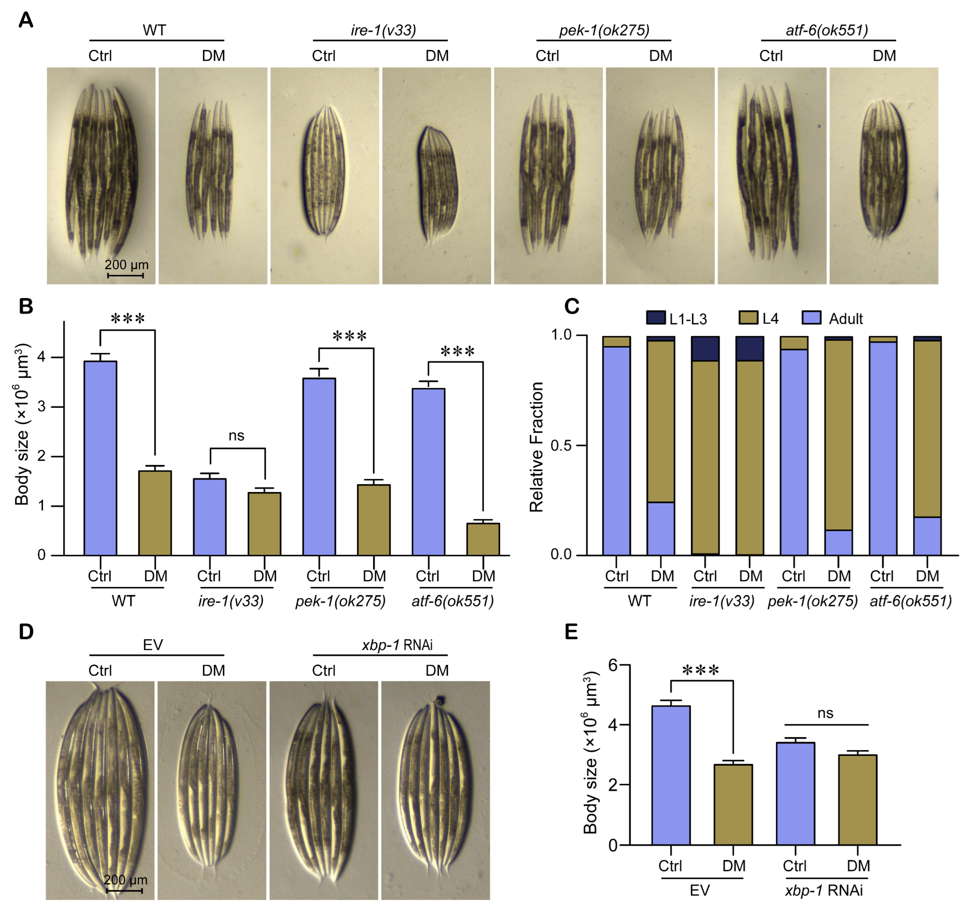 Molecules 28 06303 g006