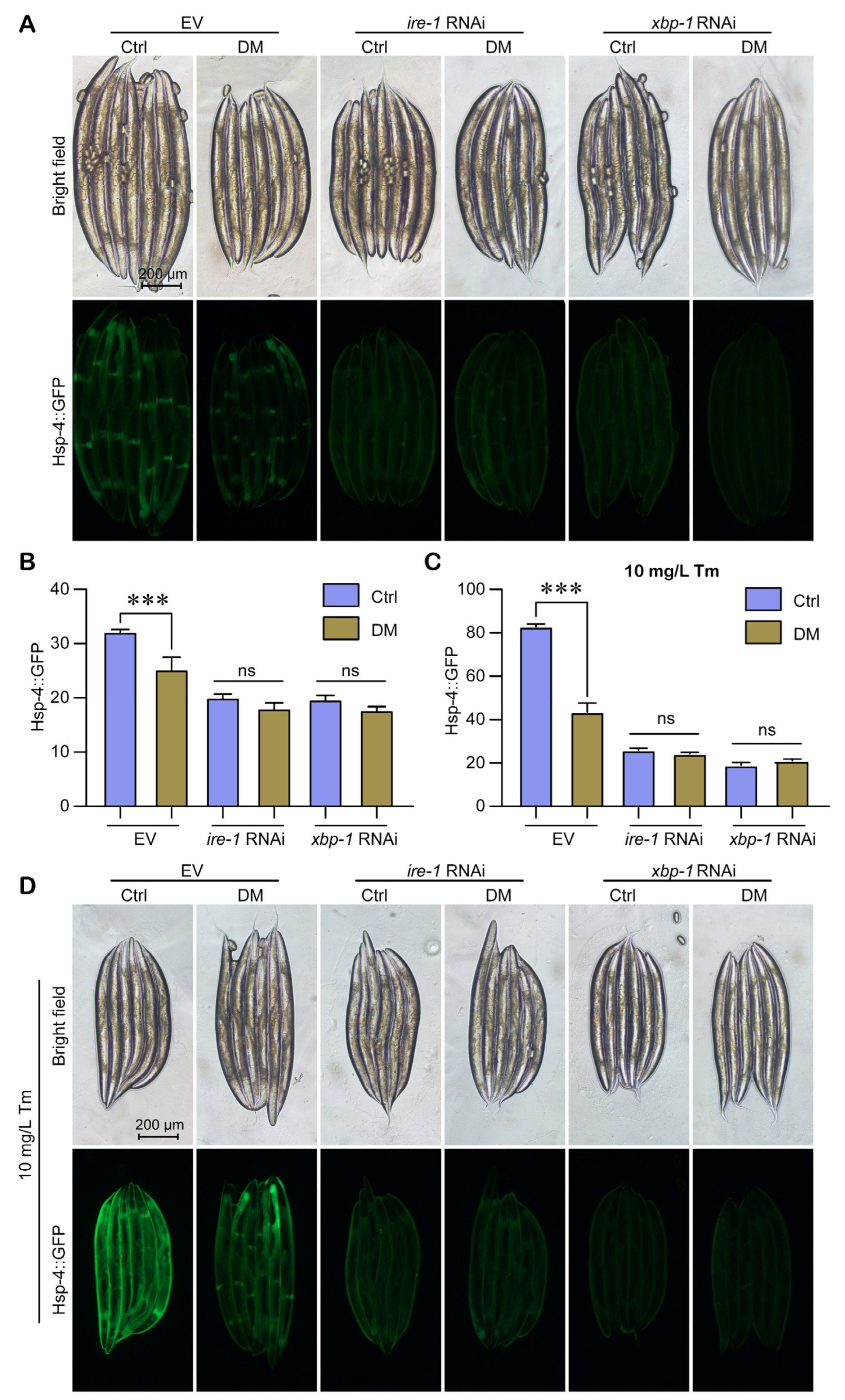 Molecules 28 06303 g007