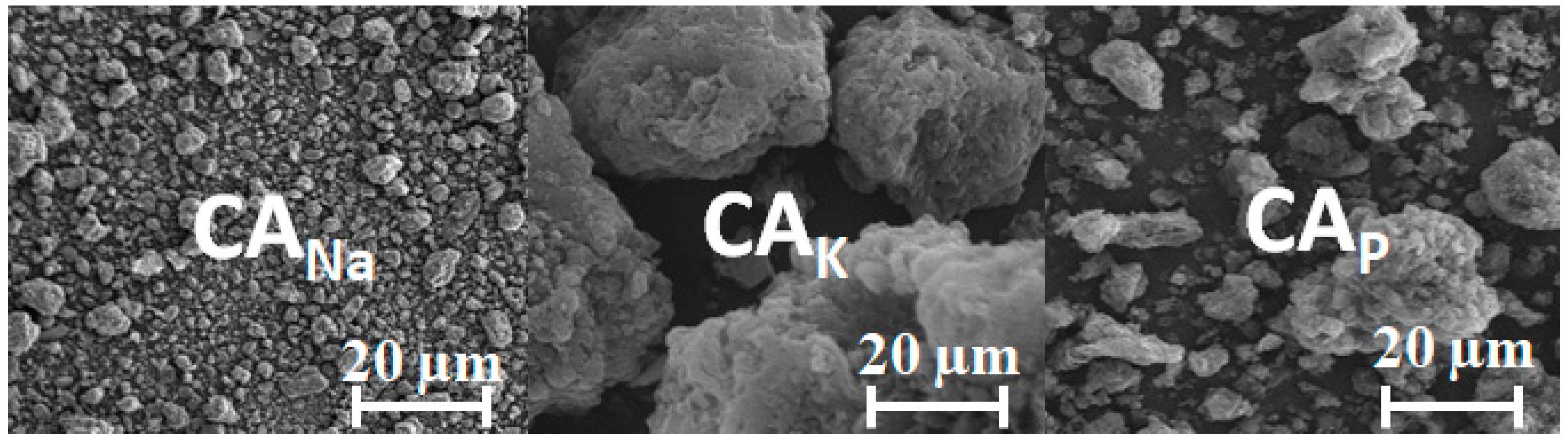 Molecules 28 06306 g002