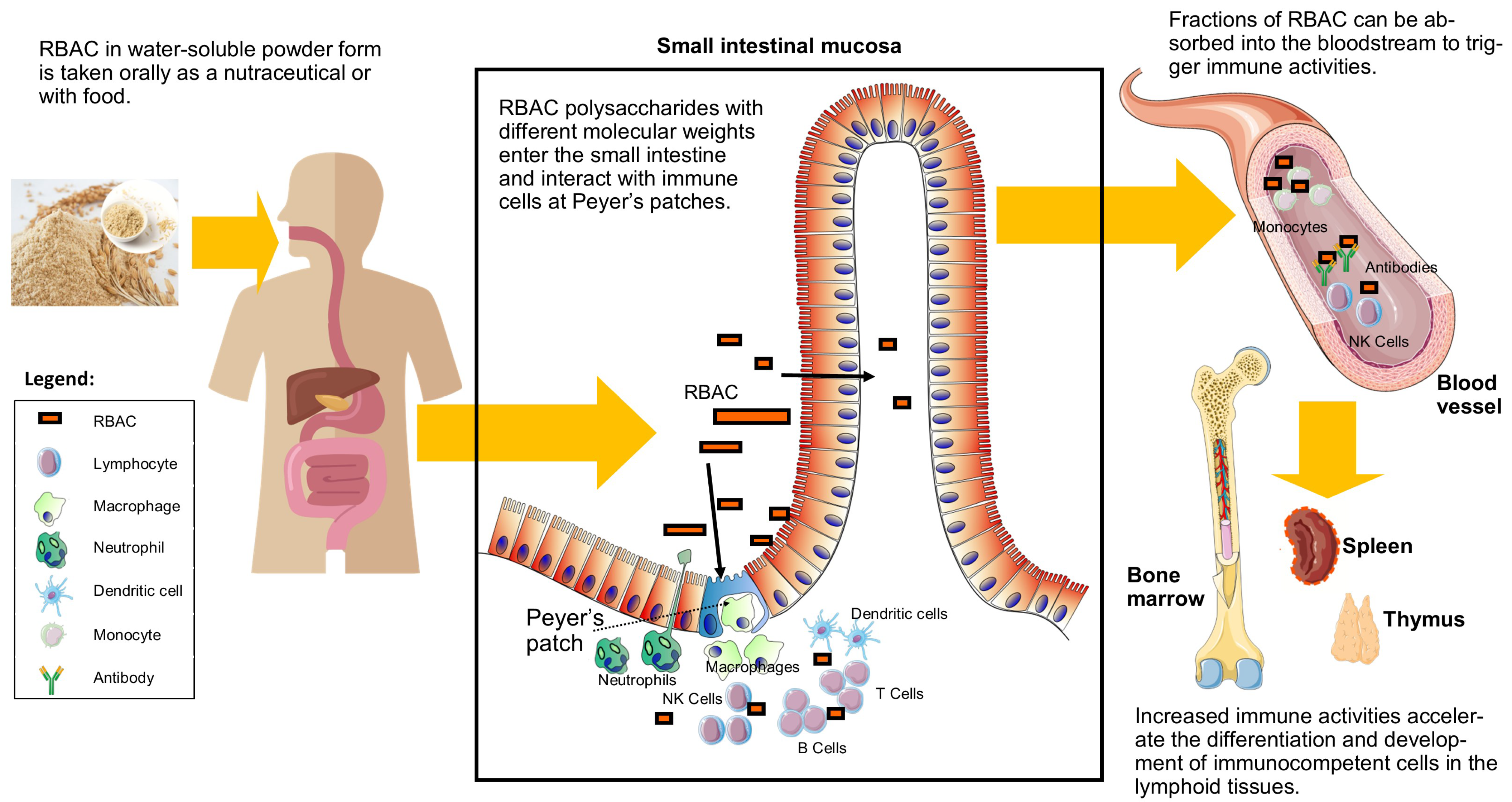 Molecules 28 06313 g002