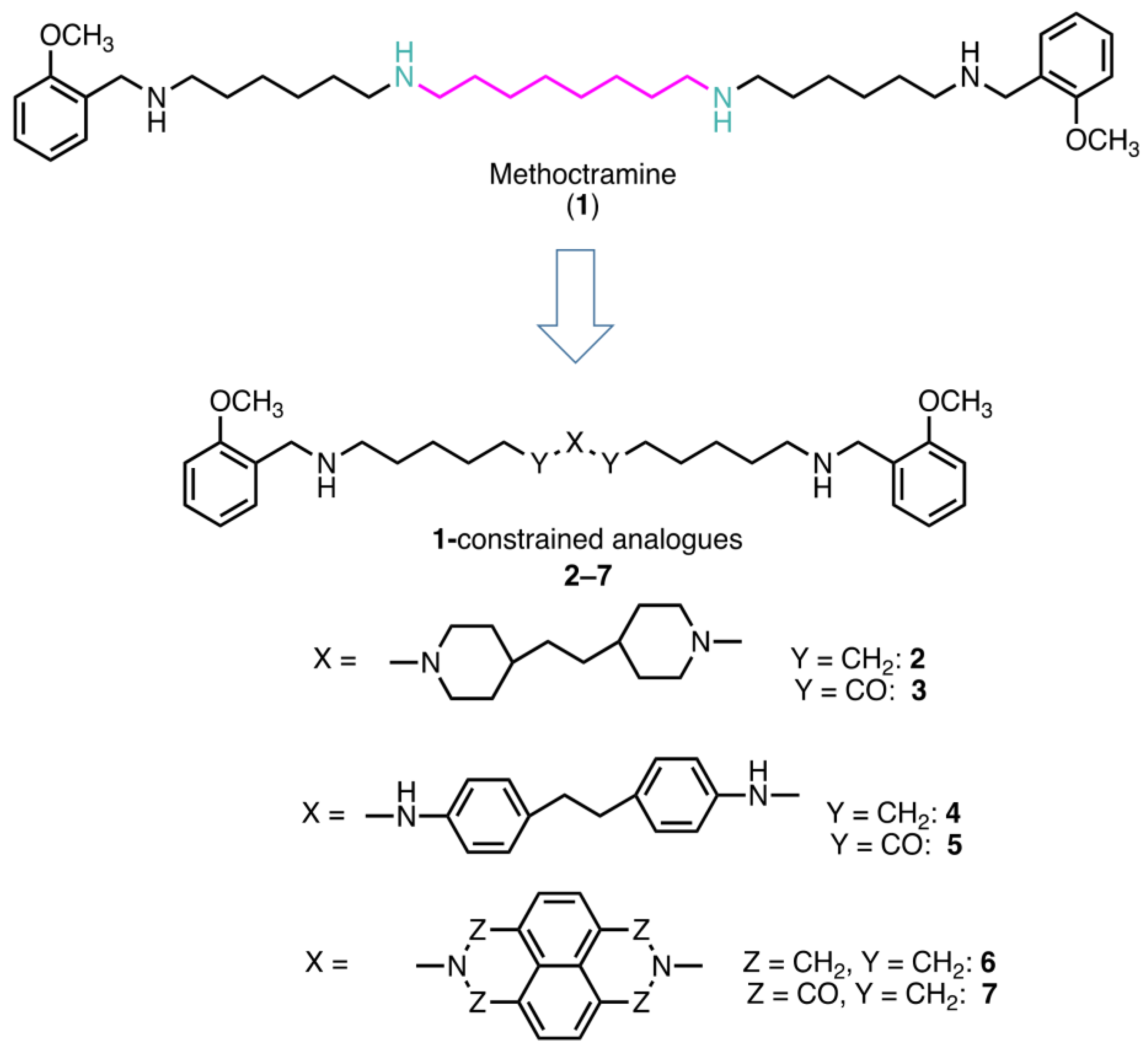 Molecules 28 06329 g001