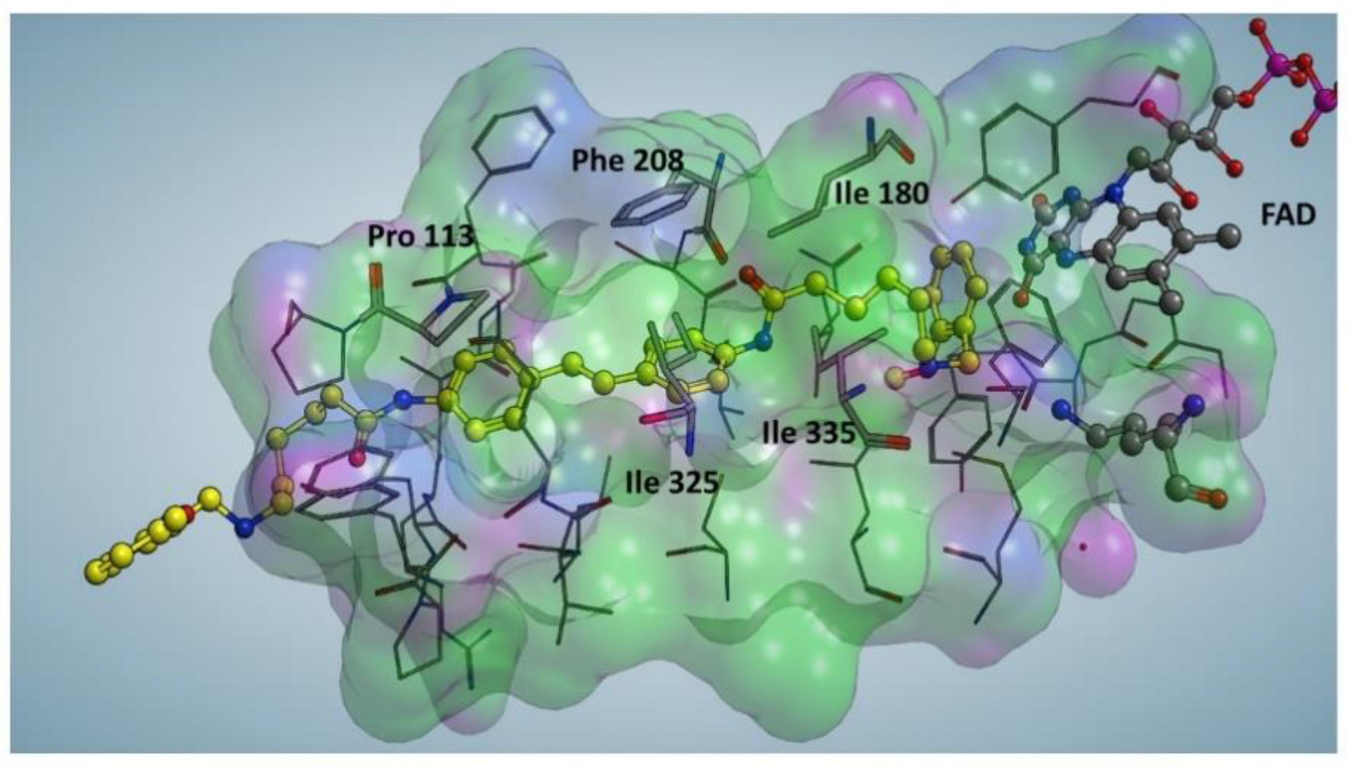 Molecules 28 06329 g004