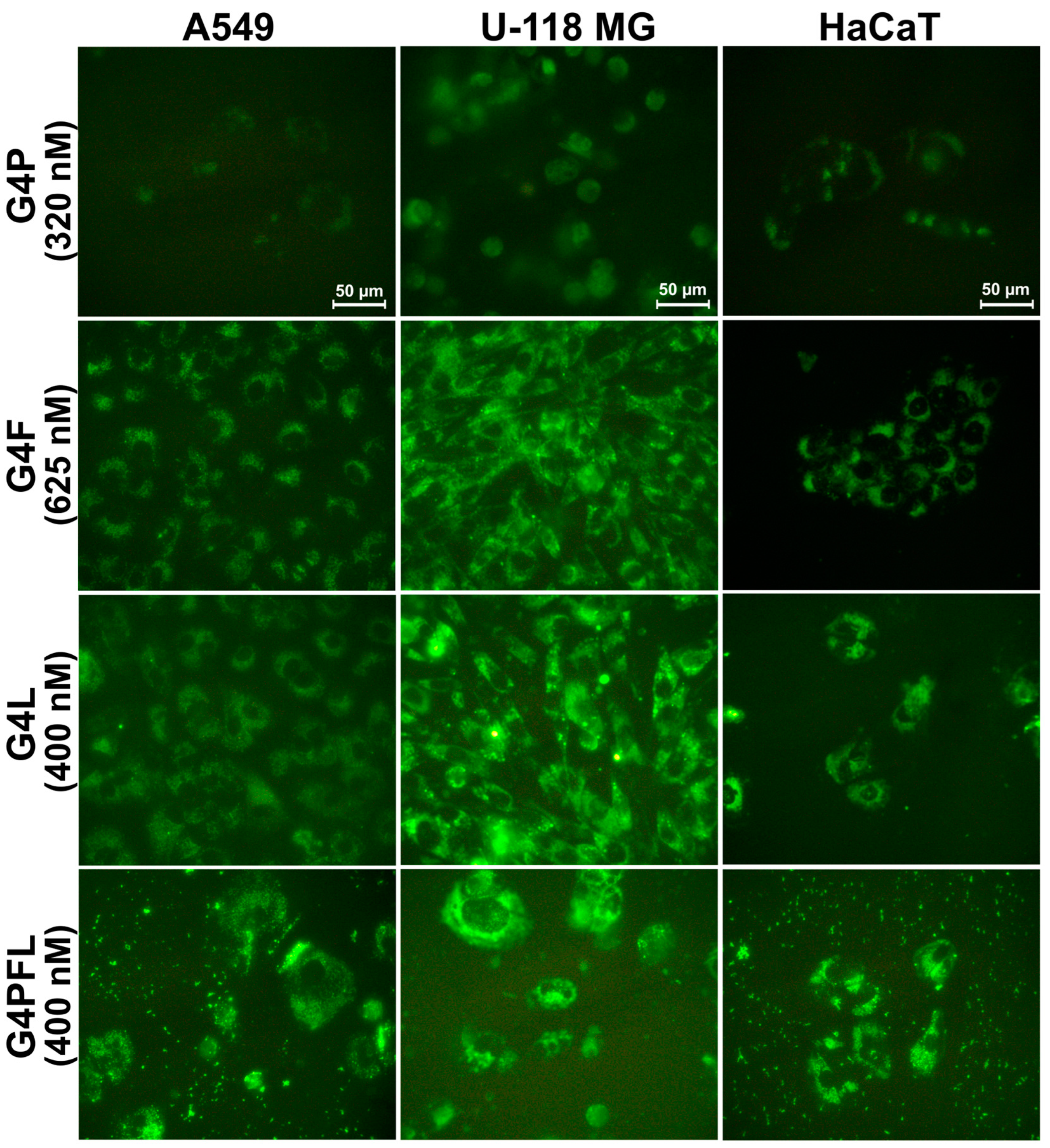 Molecules 28 06334 g004 Molecules 28 06334 g004