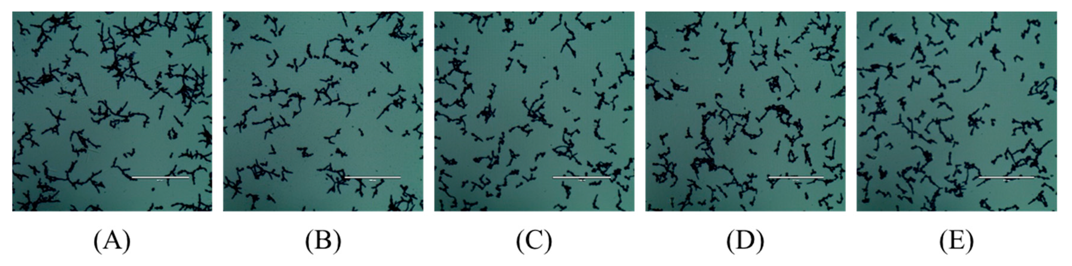 Molecules 28 06340 g002 Molecules 28 06340 g002
