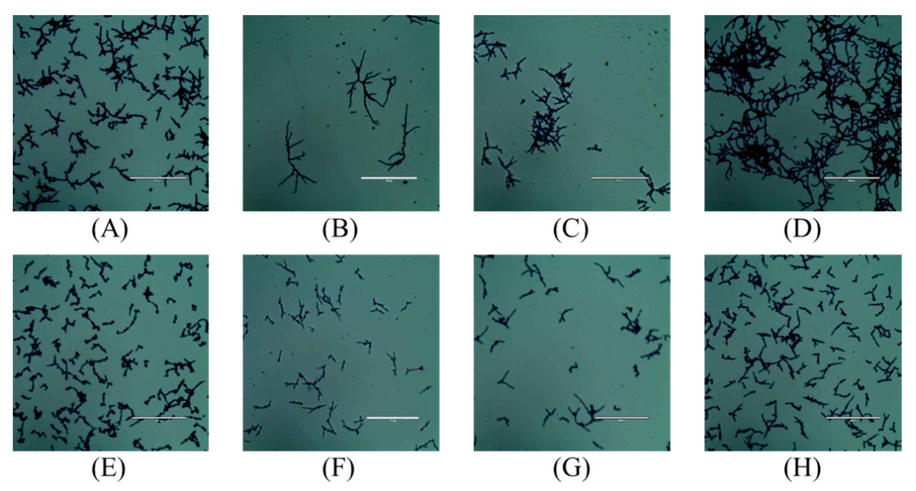 Molecules 28 06340 g003 Molecules 28 06340 g003