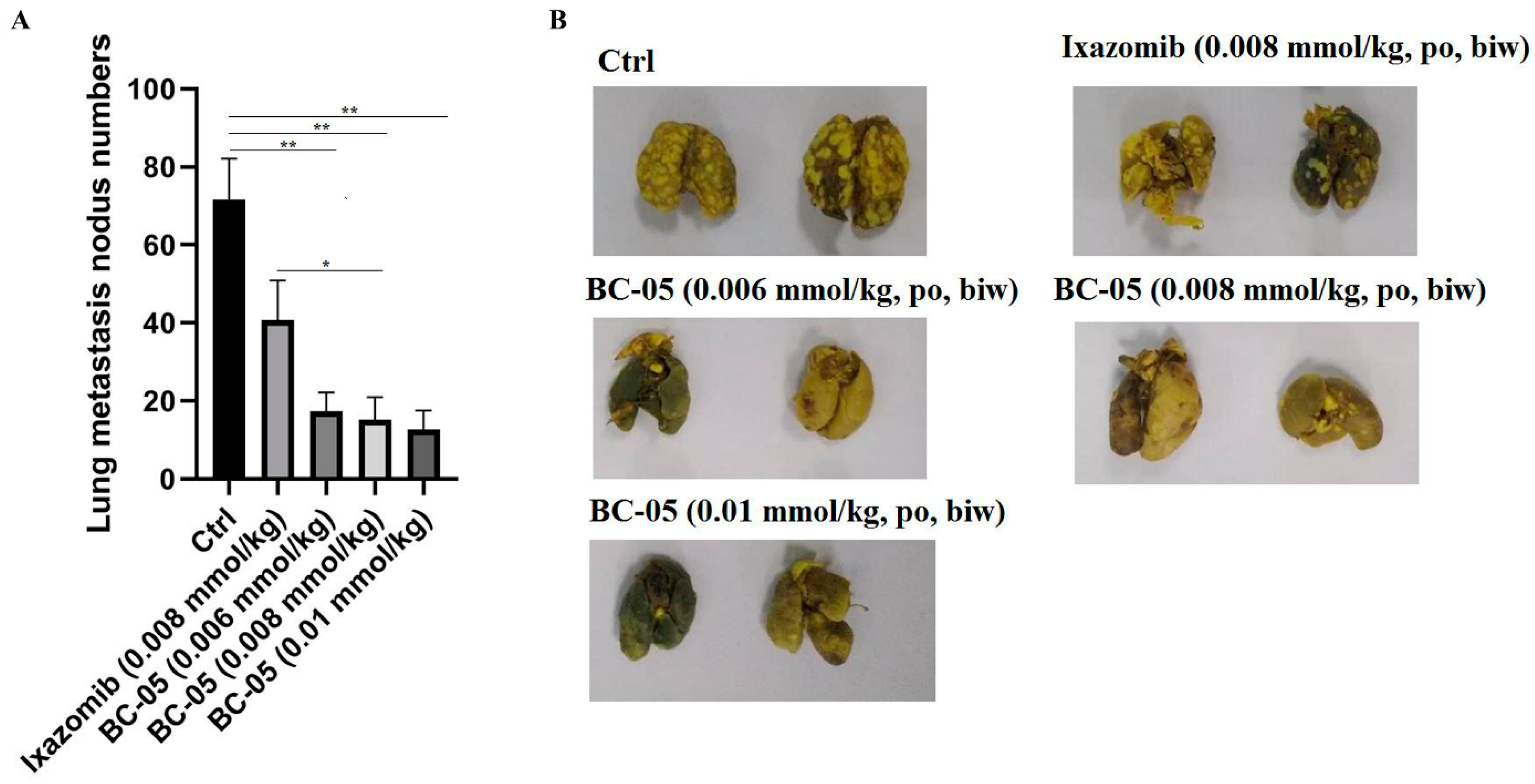 Molecules 28 06343 g006