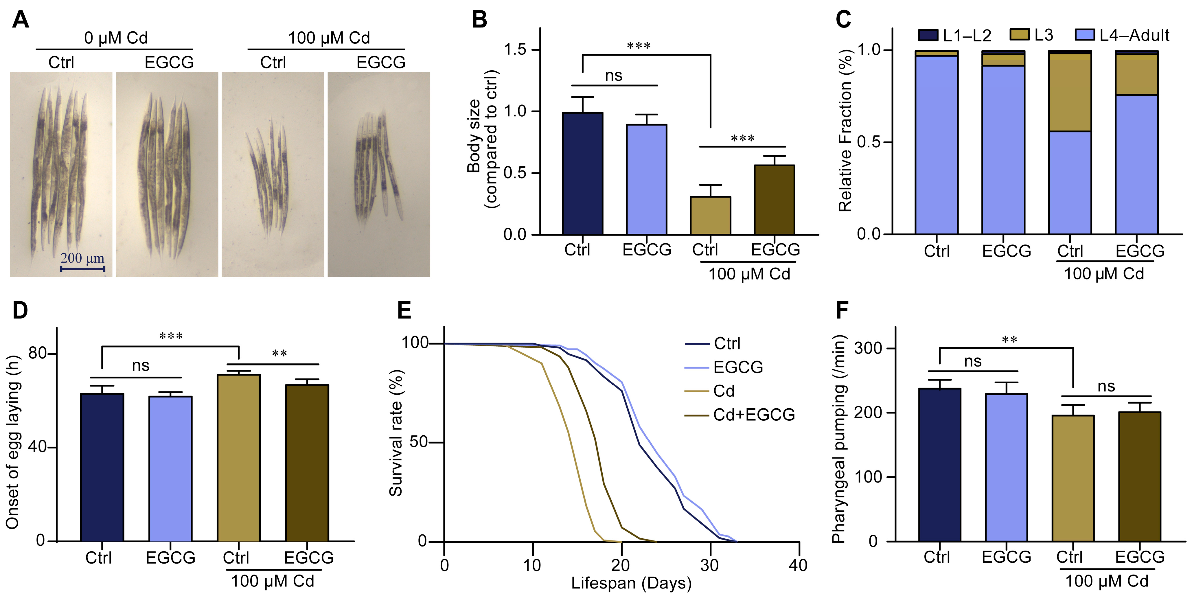 Molecules 28 06344 g001
