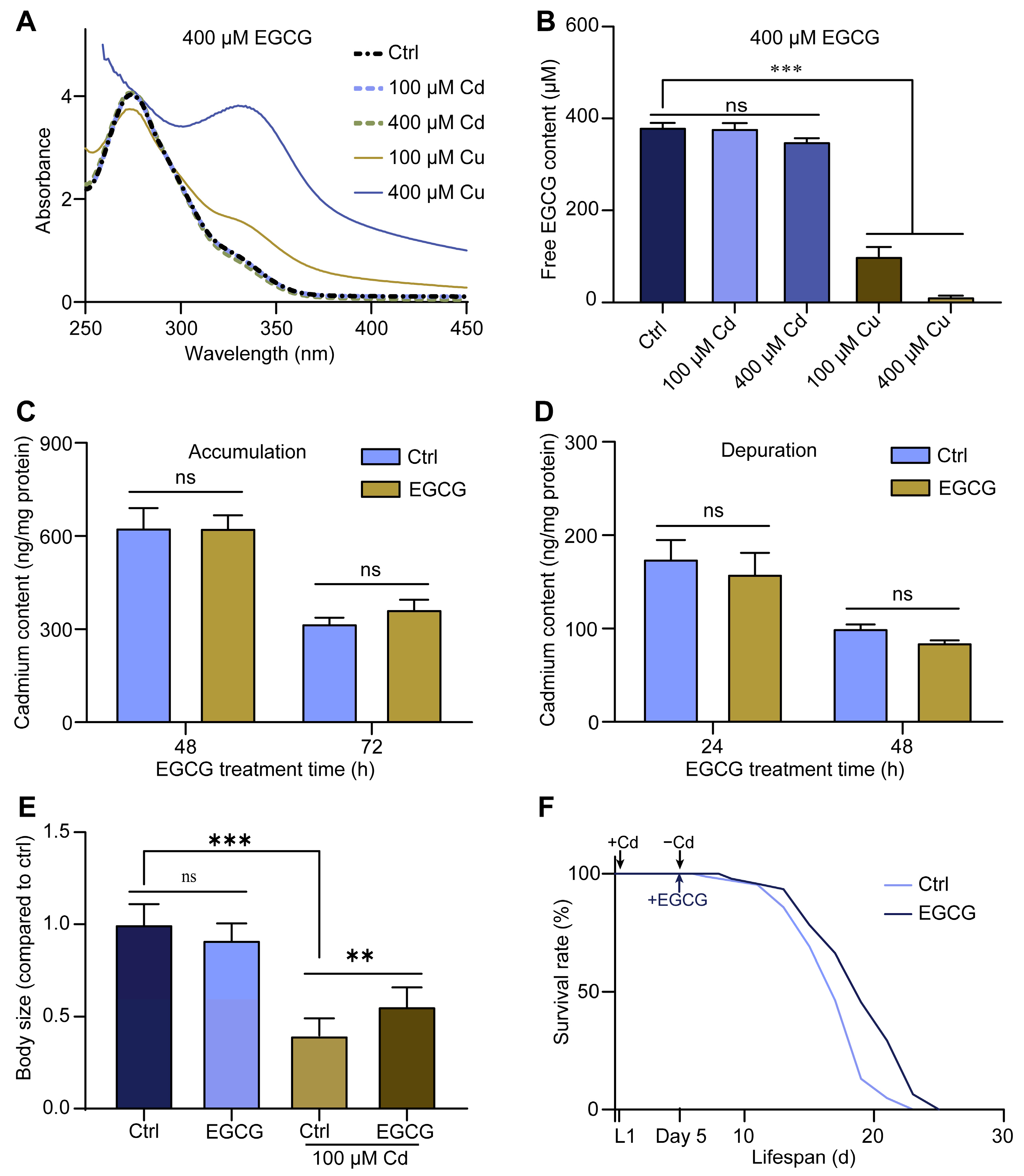 Molecules 28 06344 g002