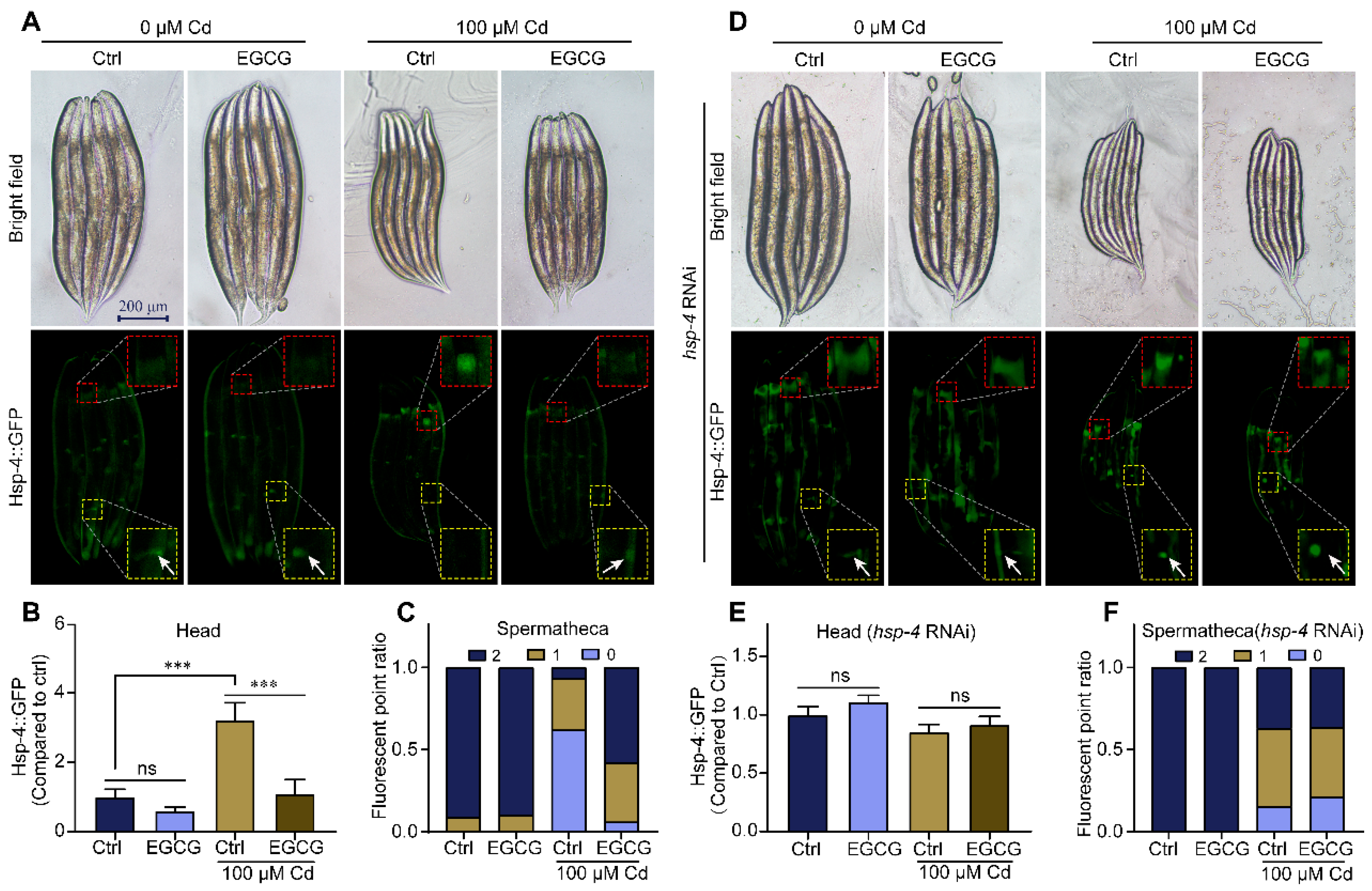 Molecules 28 06344 g003a