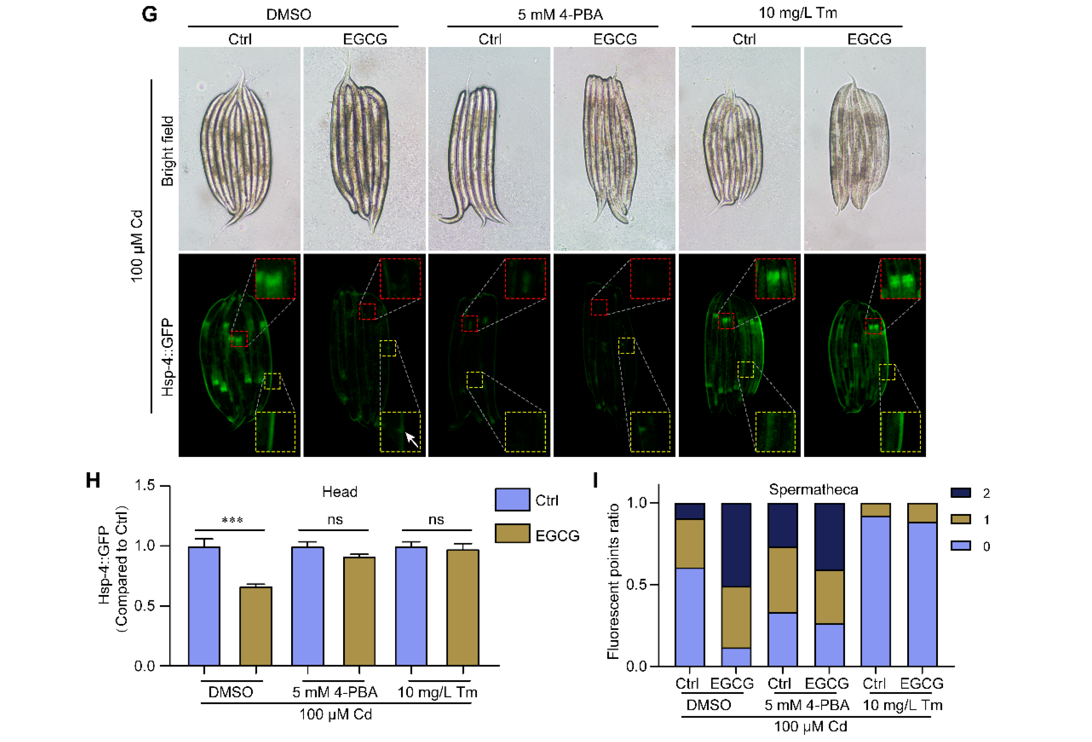 Molecules 28 06344 g003b