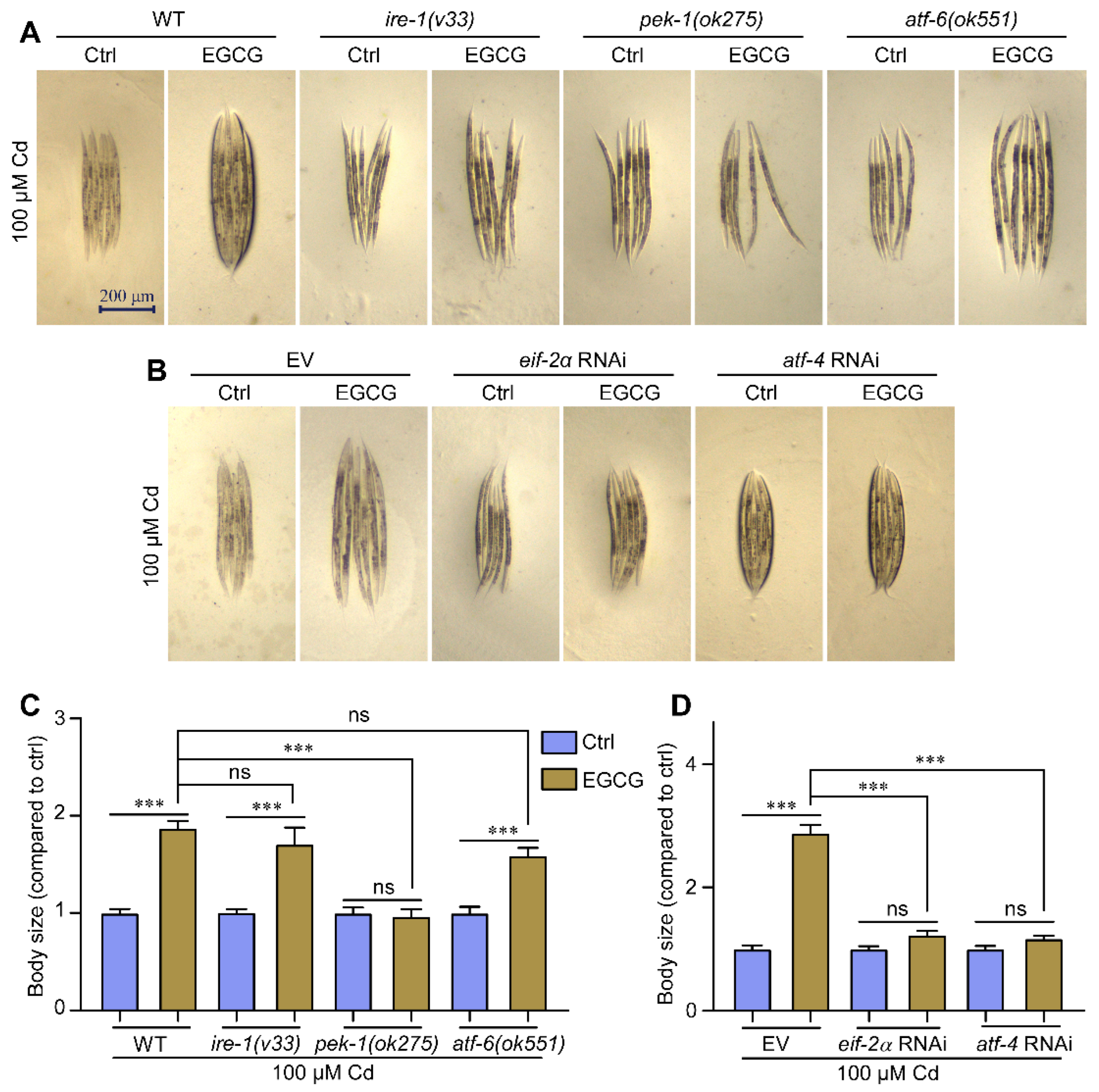 Molecules 28 06344 g006