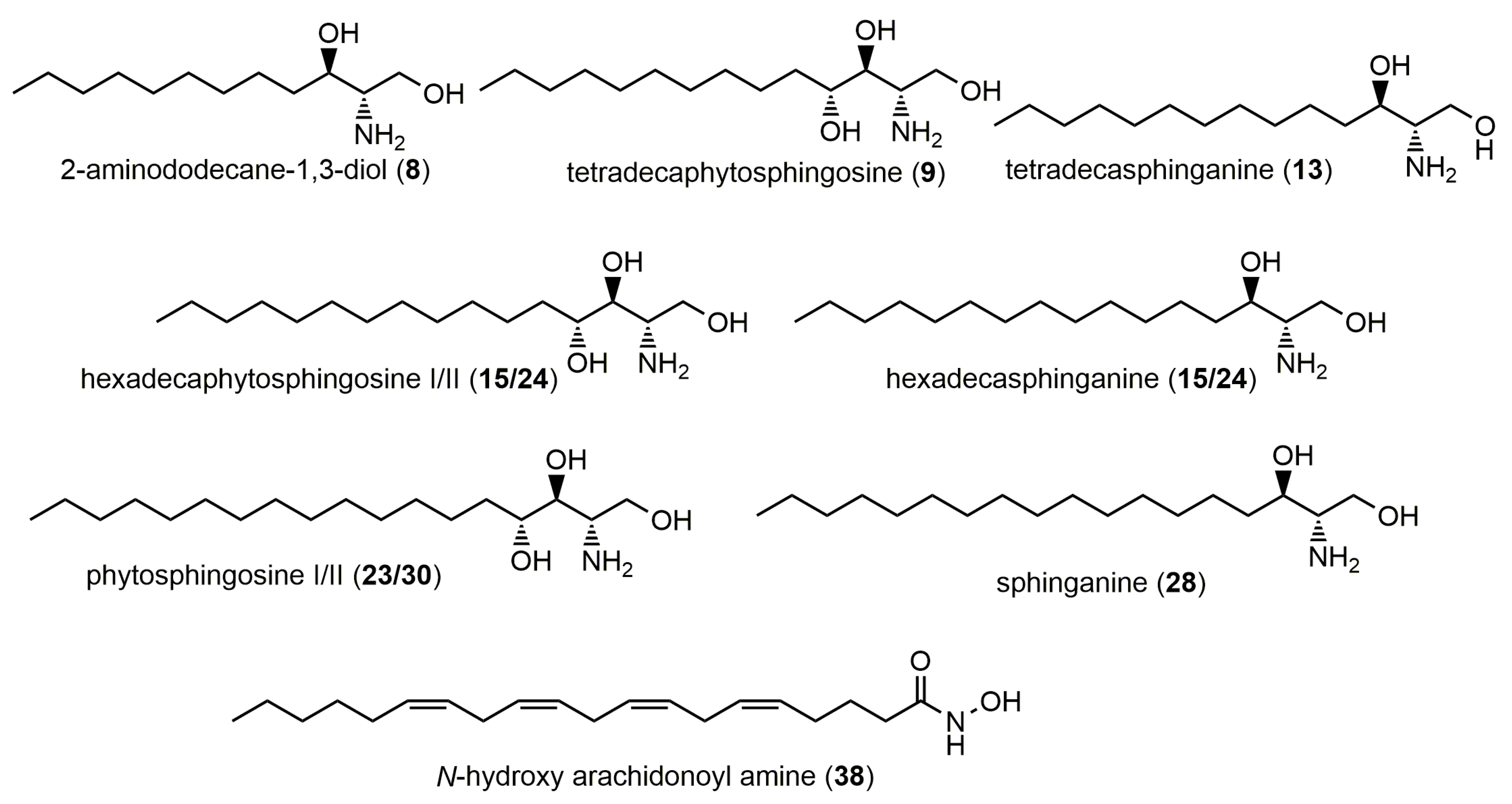 Molecules 28 06346 g004