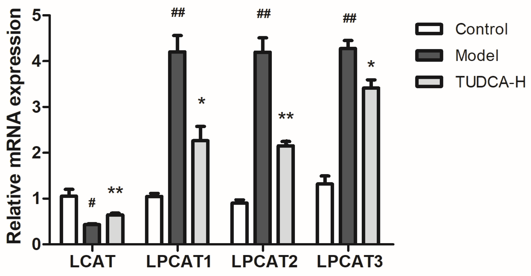 Molecules 28 06352 g006