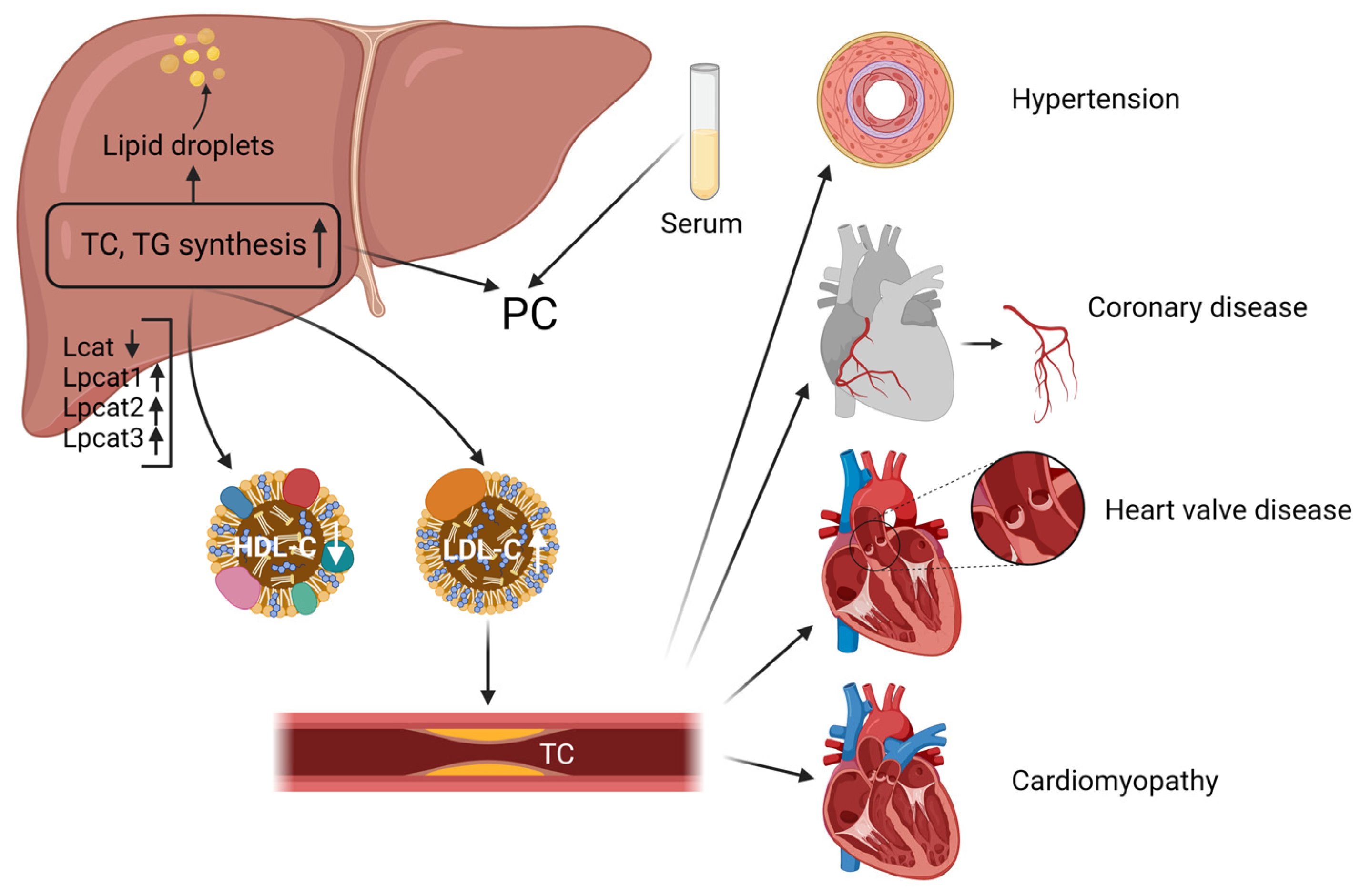 Molecules 28 06352 g007