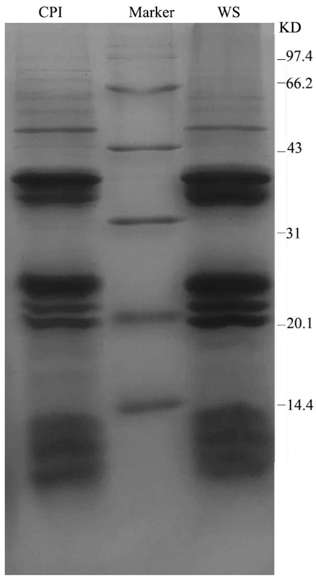 Molecules 28 06355 g001