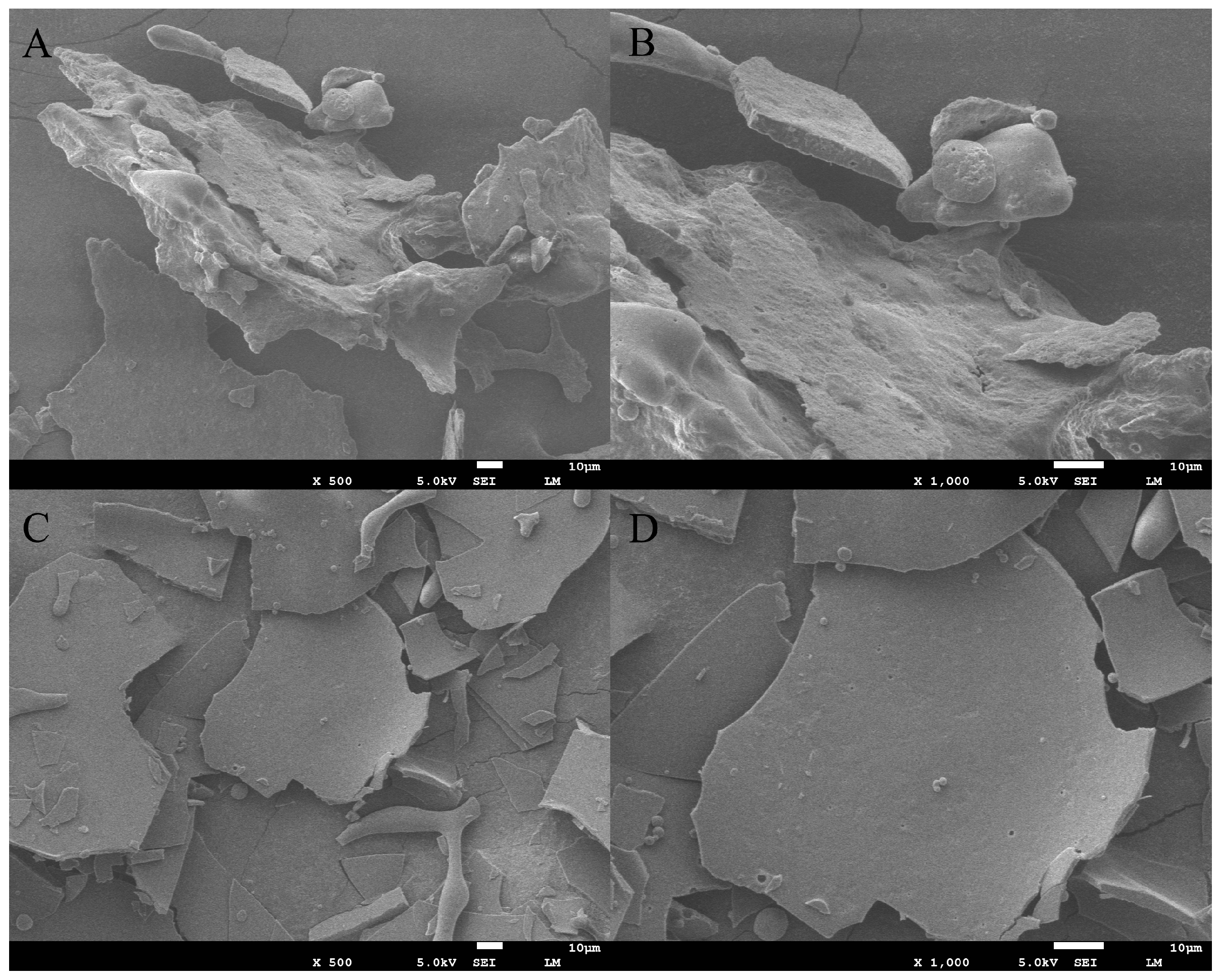 Molecules 28 06355 g004