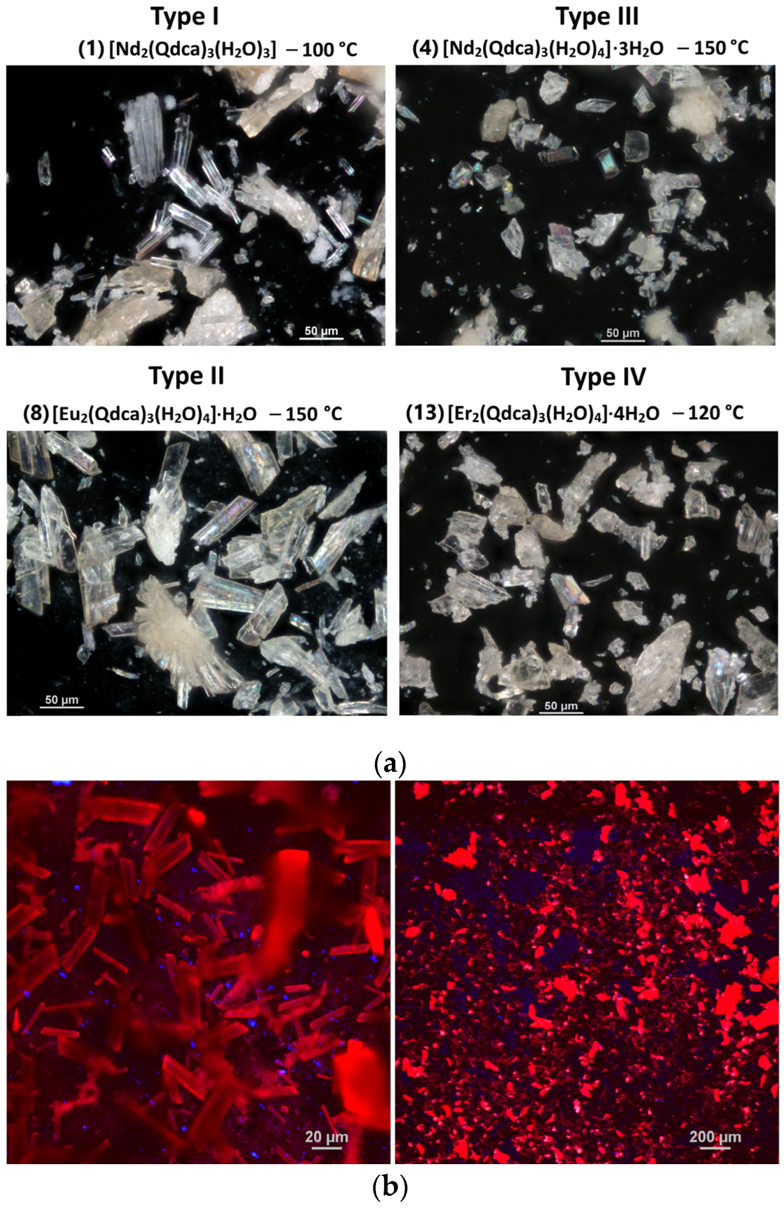 Molecules 28 06360 g001