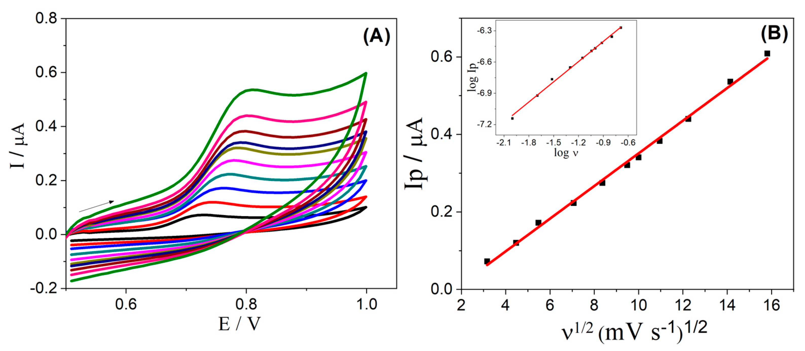Molecules 28 06372 g003 Molecules 28 06372 g003