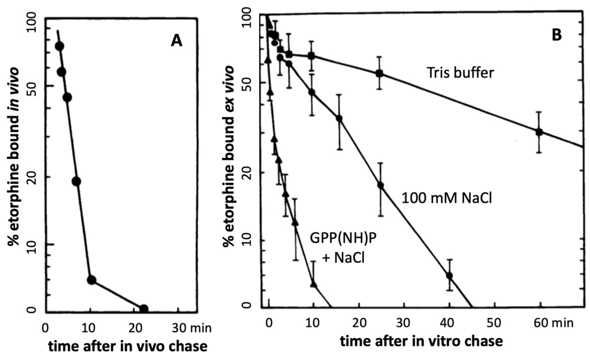 Molecules 28 06375 g002 Molecules 28 06375 g002
