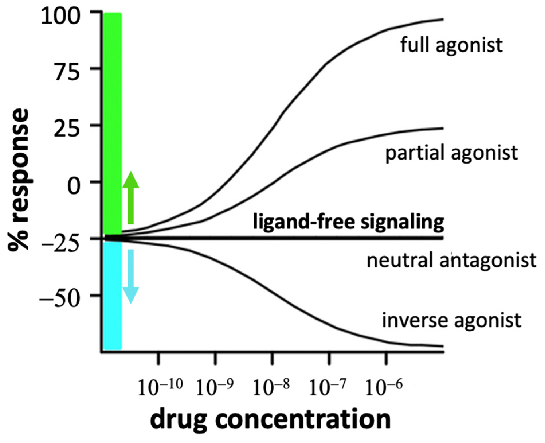 Molecules 28 06375 g004 Molecules 28 06375 g004