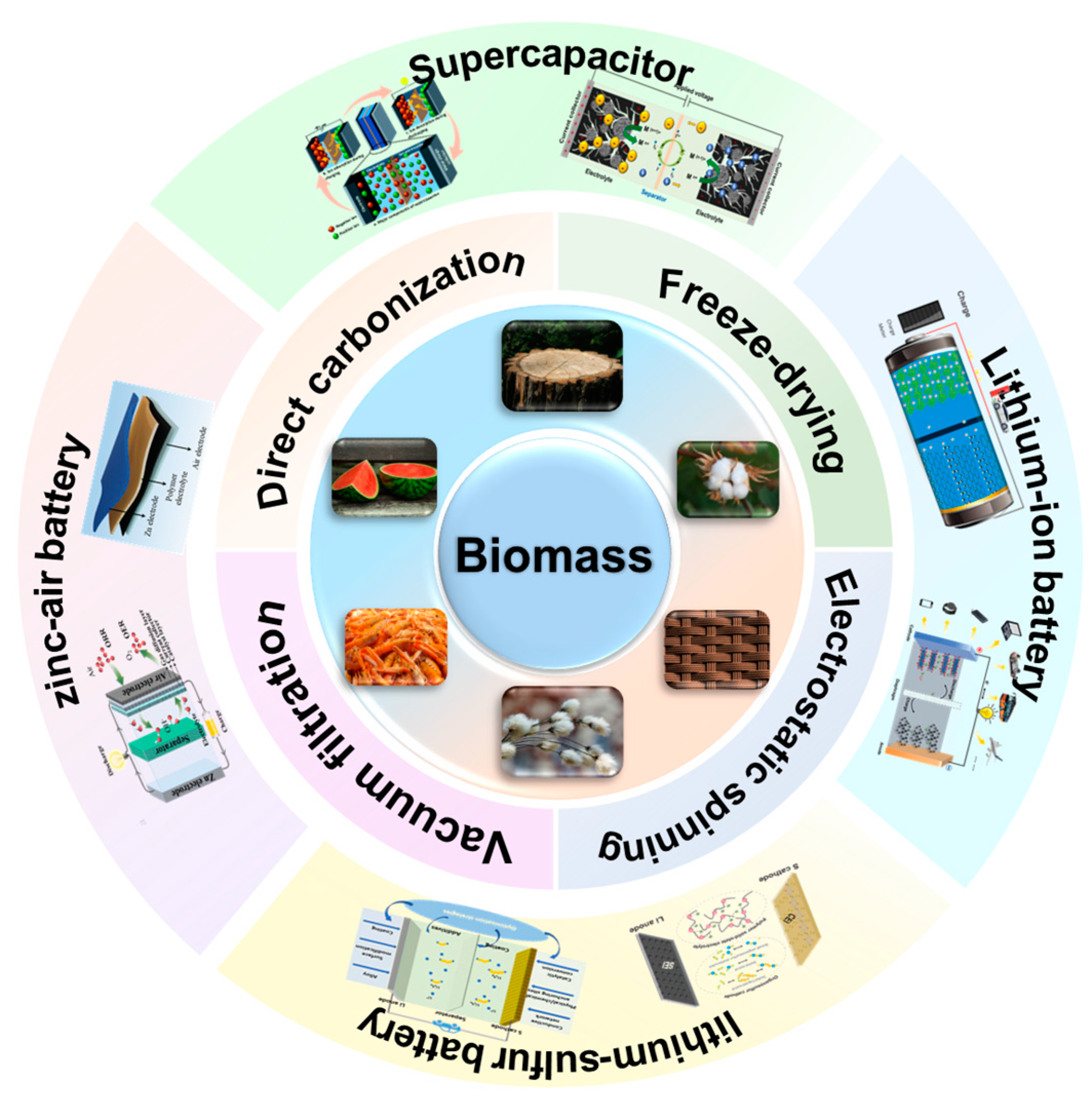 Molecules 28 06377 g001