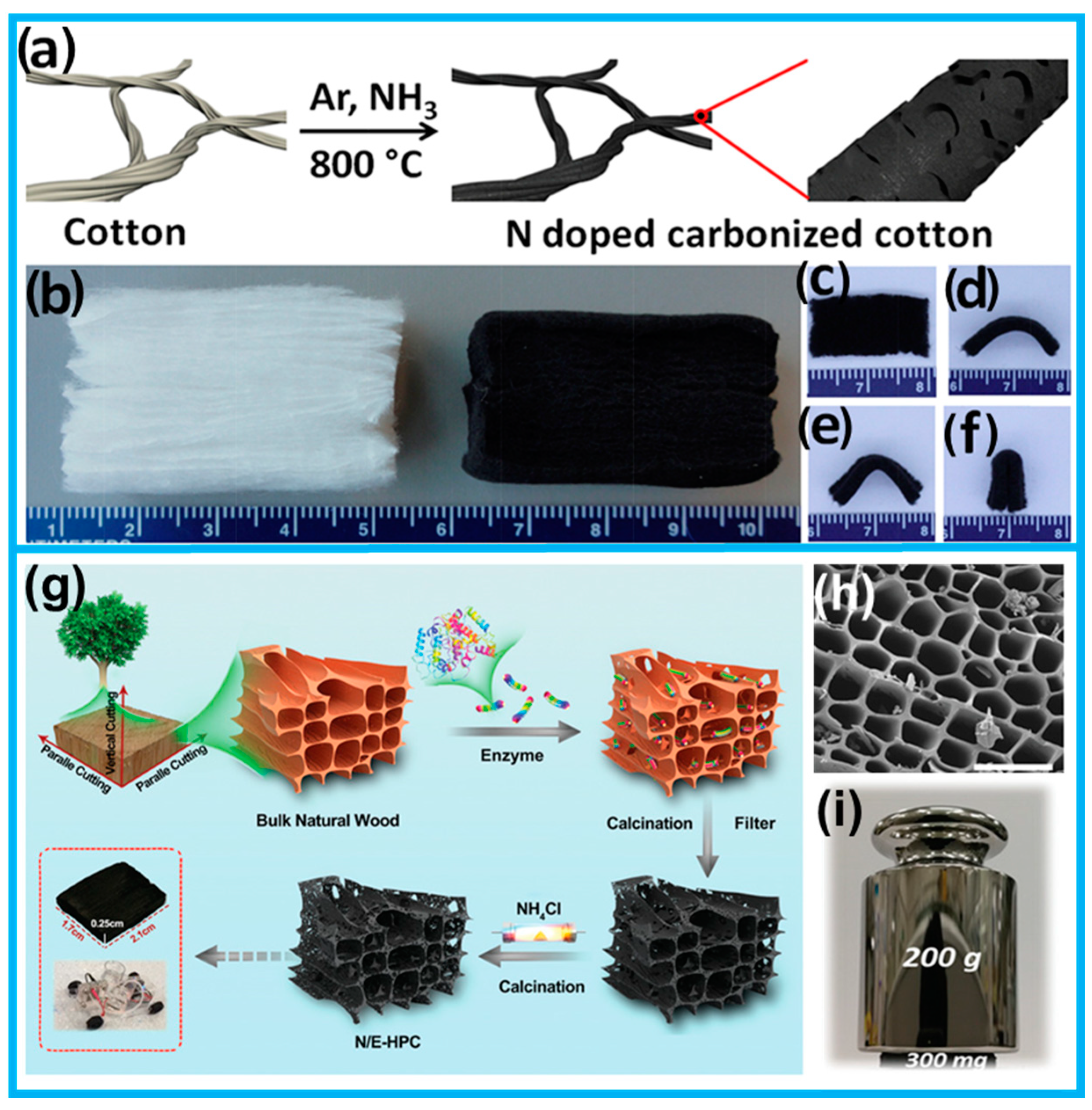 Molecules 28 06377 g007
