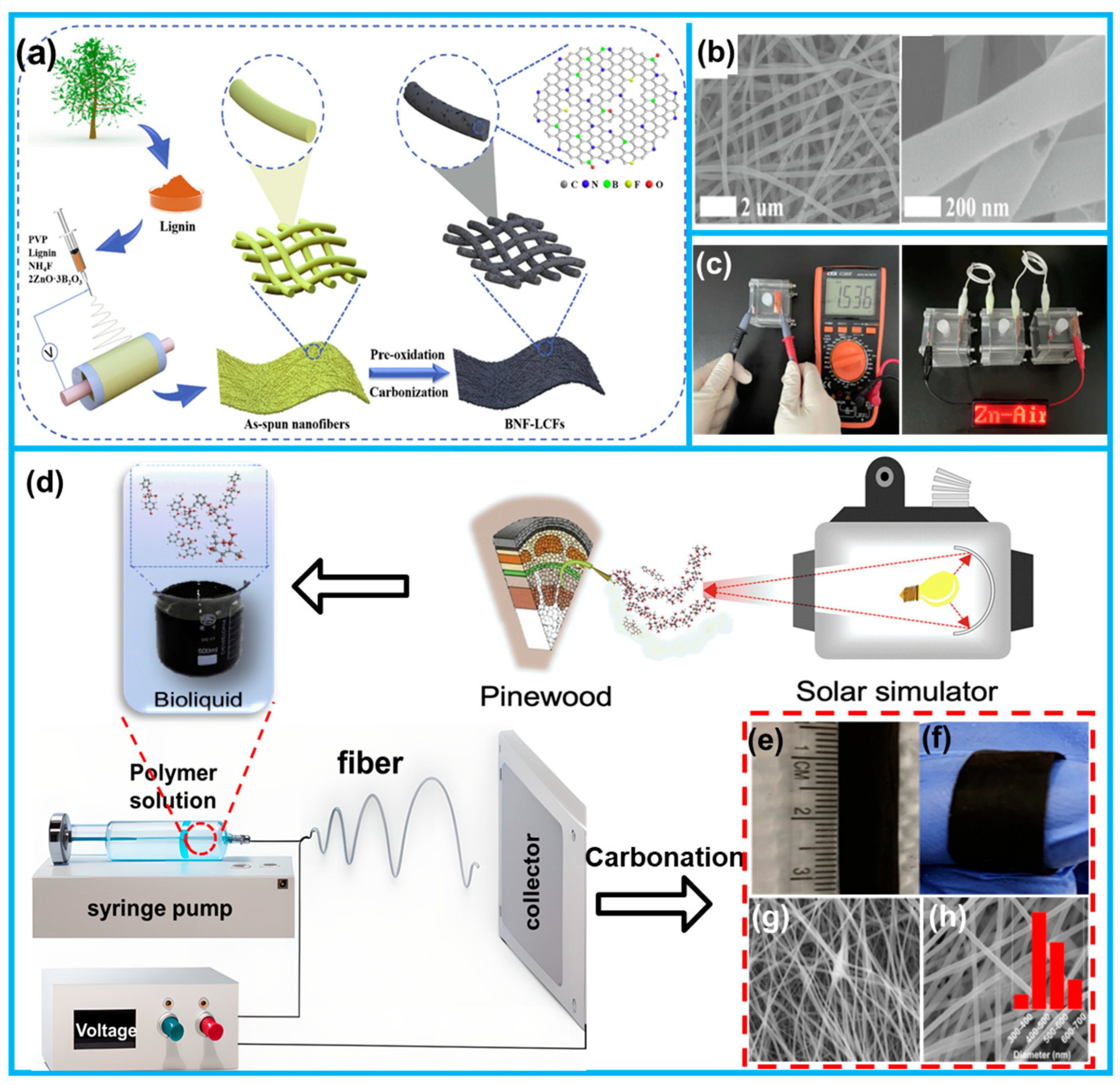 Molecules 28 06377 g009