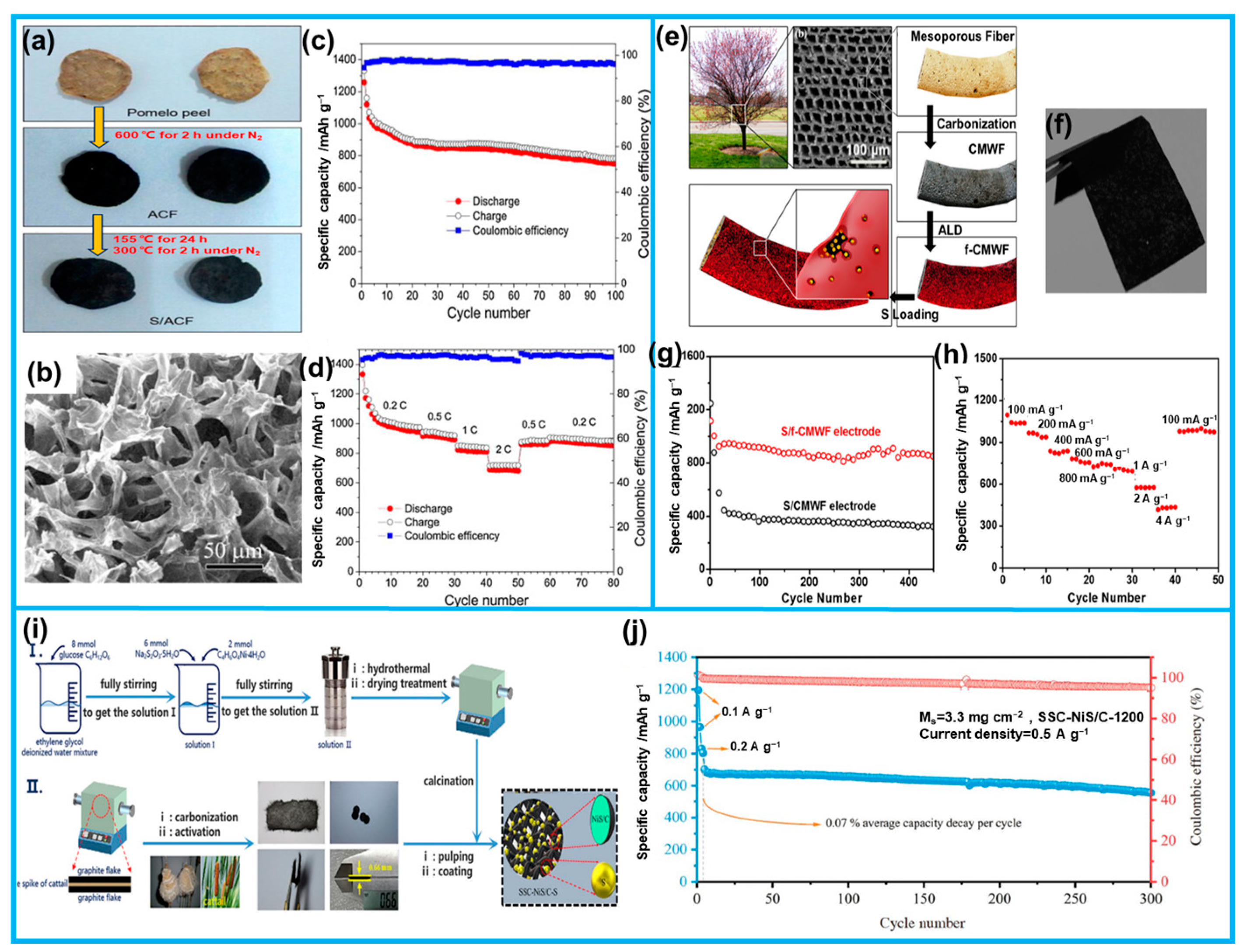 Molecules 28 06377 g014