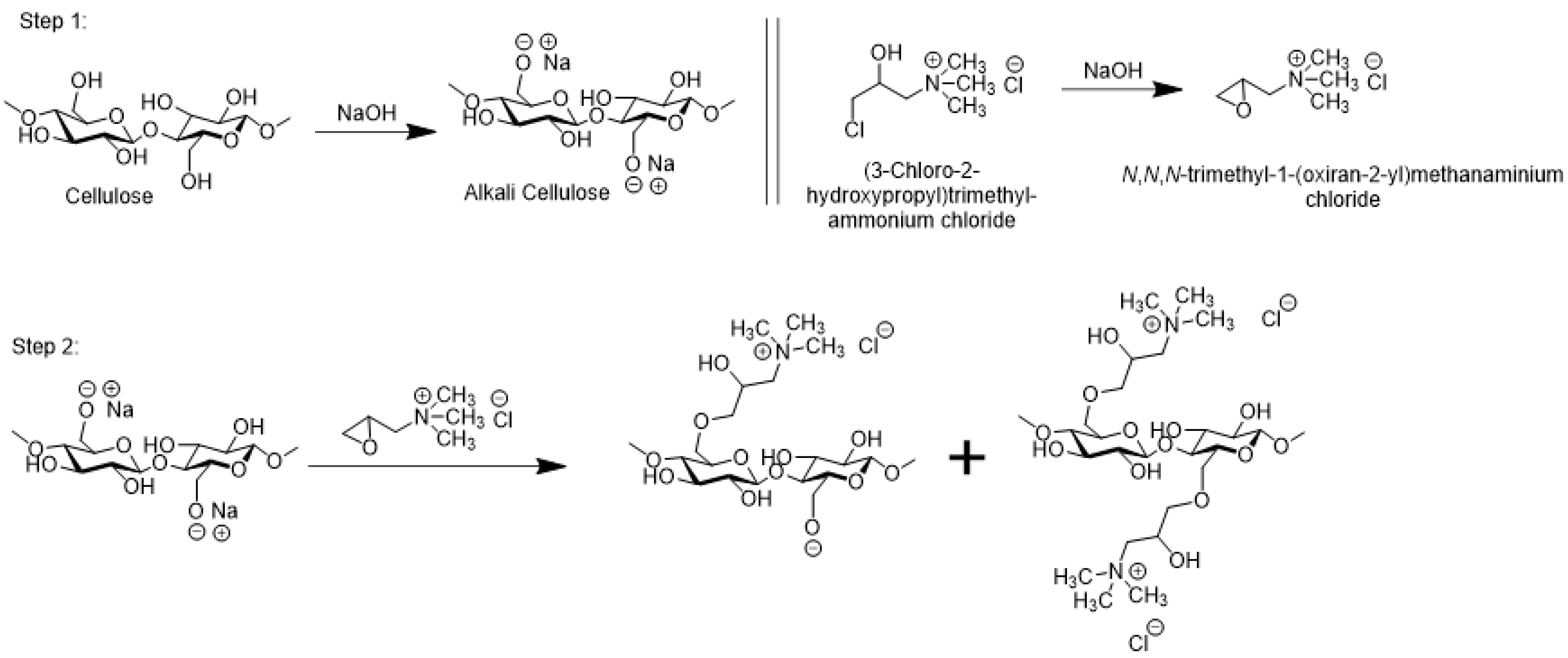 Molecules 28 06381 g004 Molecules 28 06381 g004