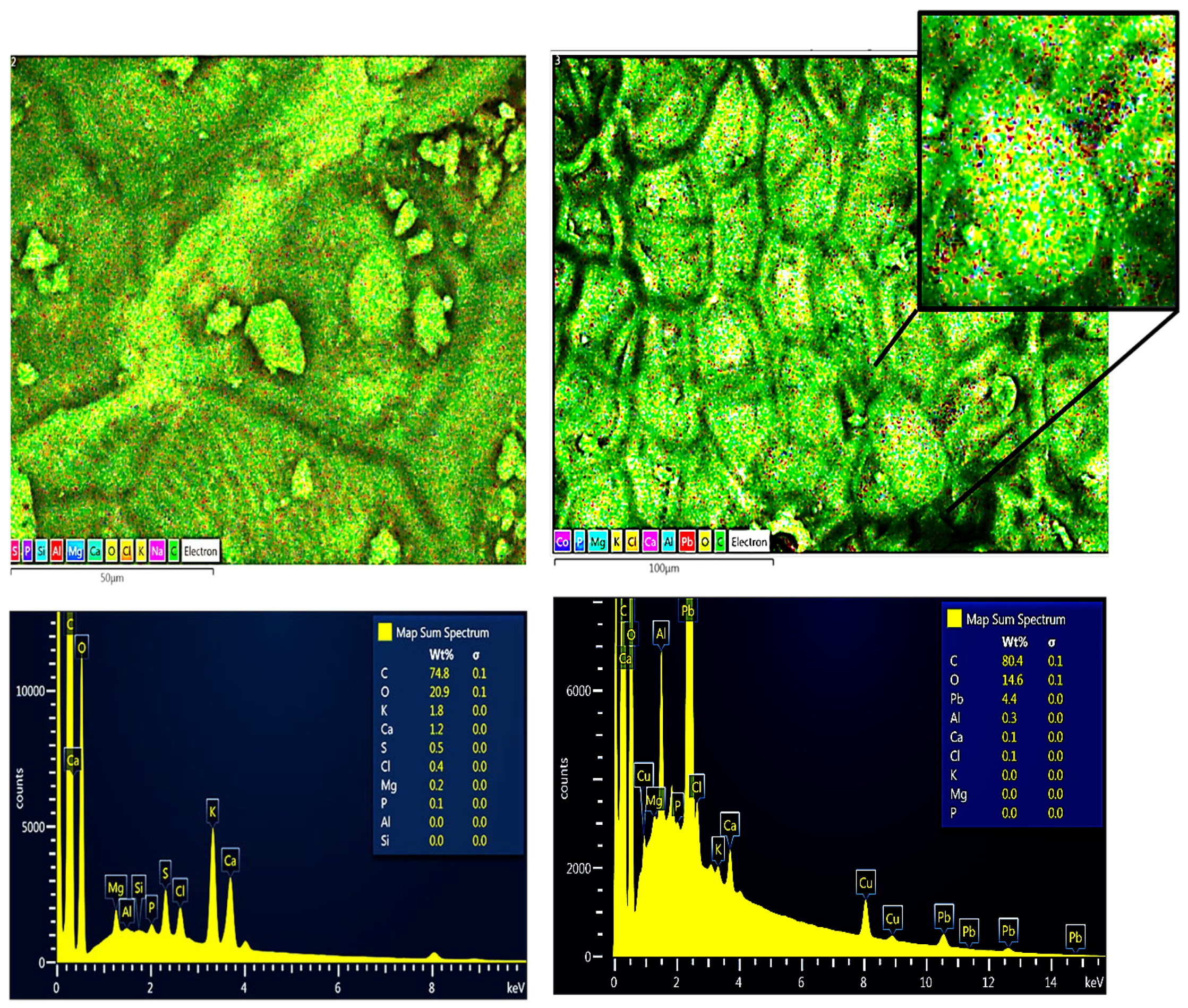 Molecules 28 06387 g002