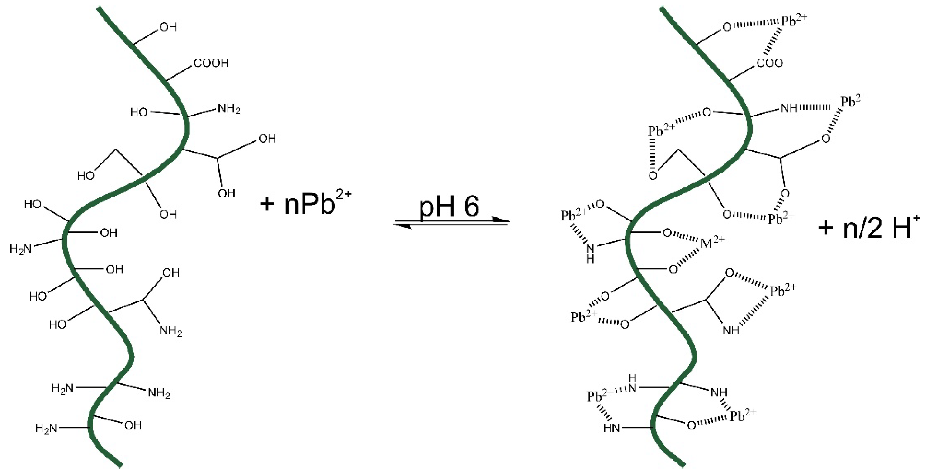 Molecules 28 06387 g010
