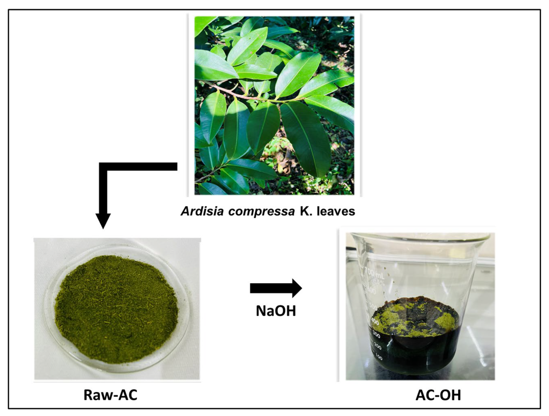 Molecules 28 06387 g012