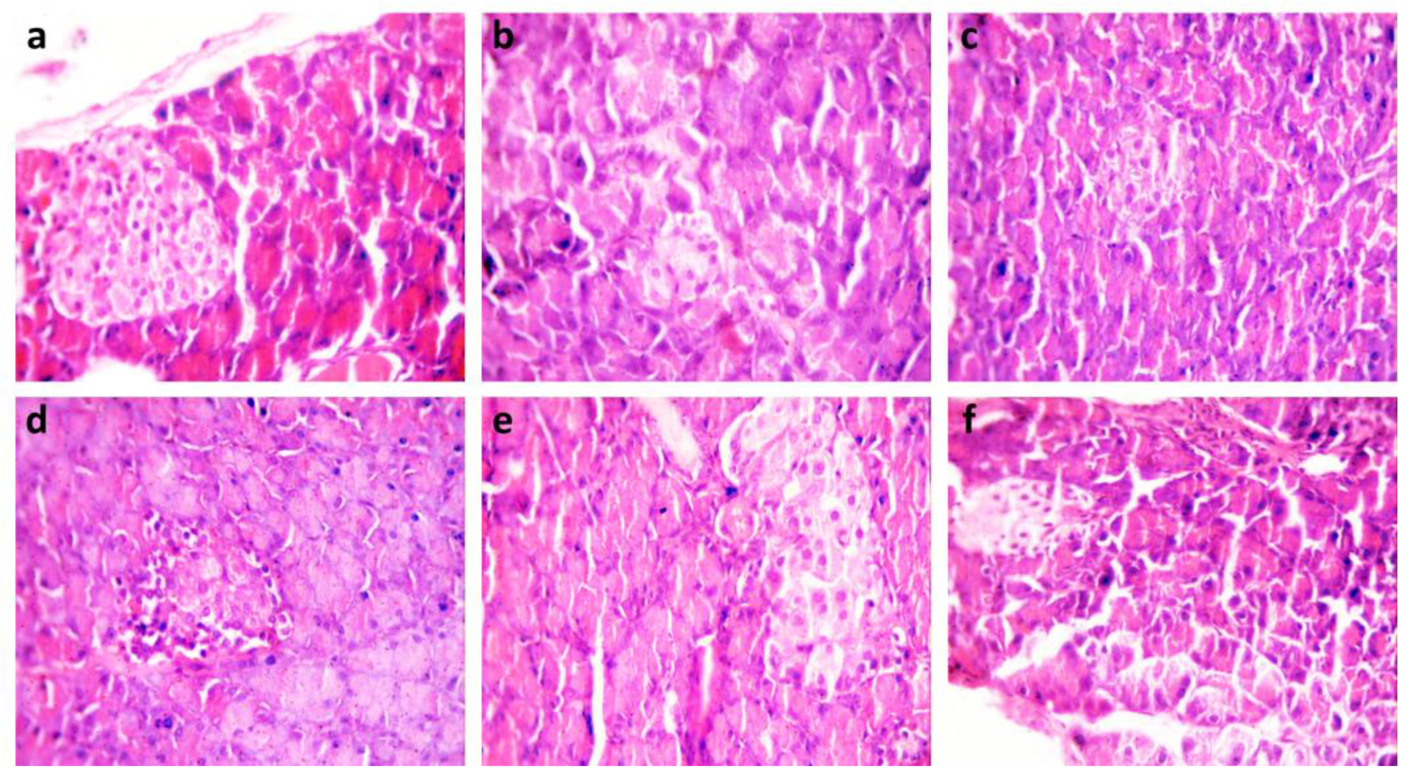 Molecules 28 06389 g001