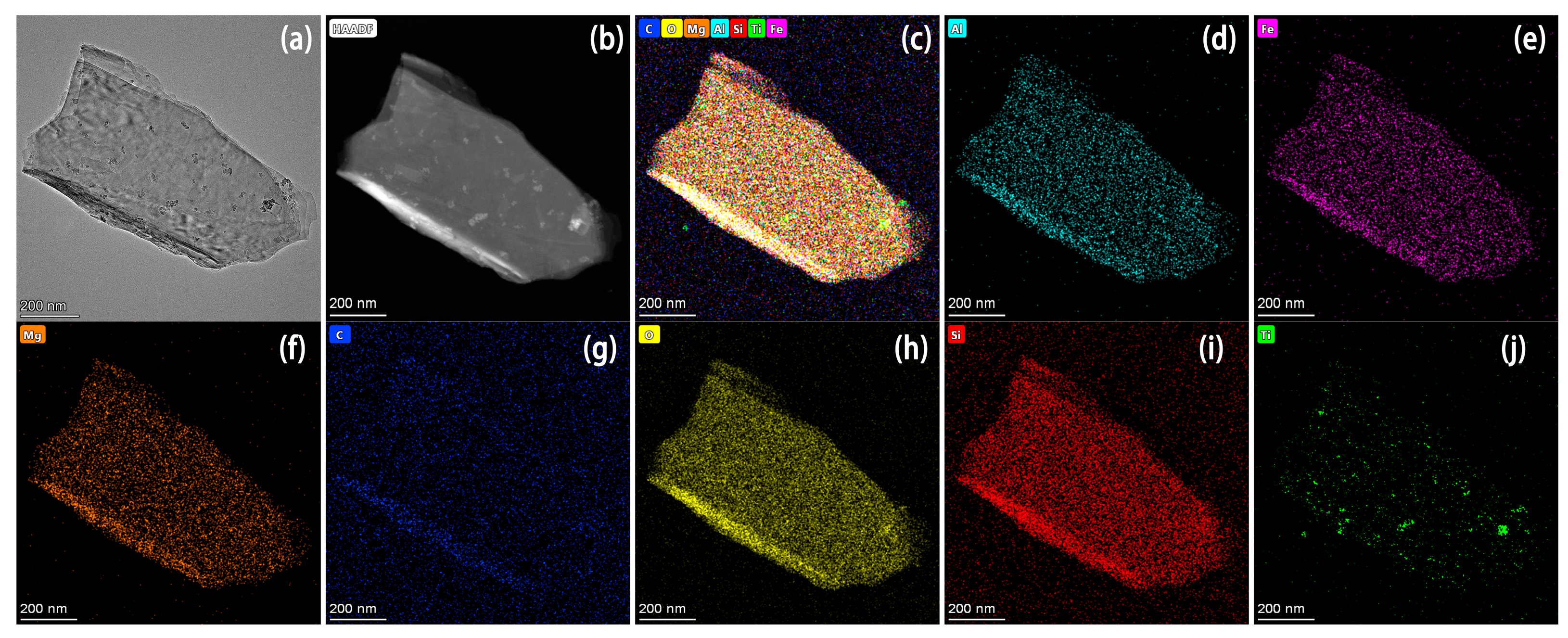Molecules 28 06398 g004