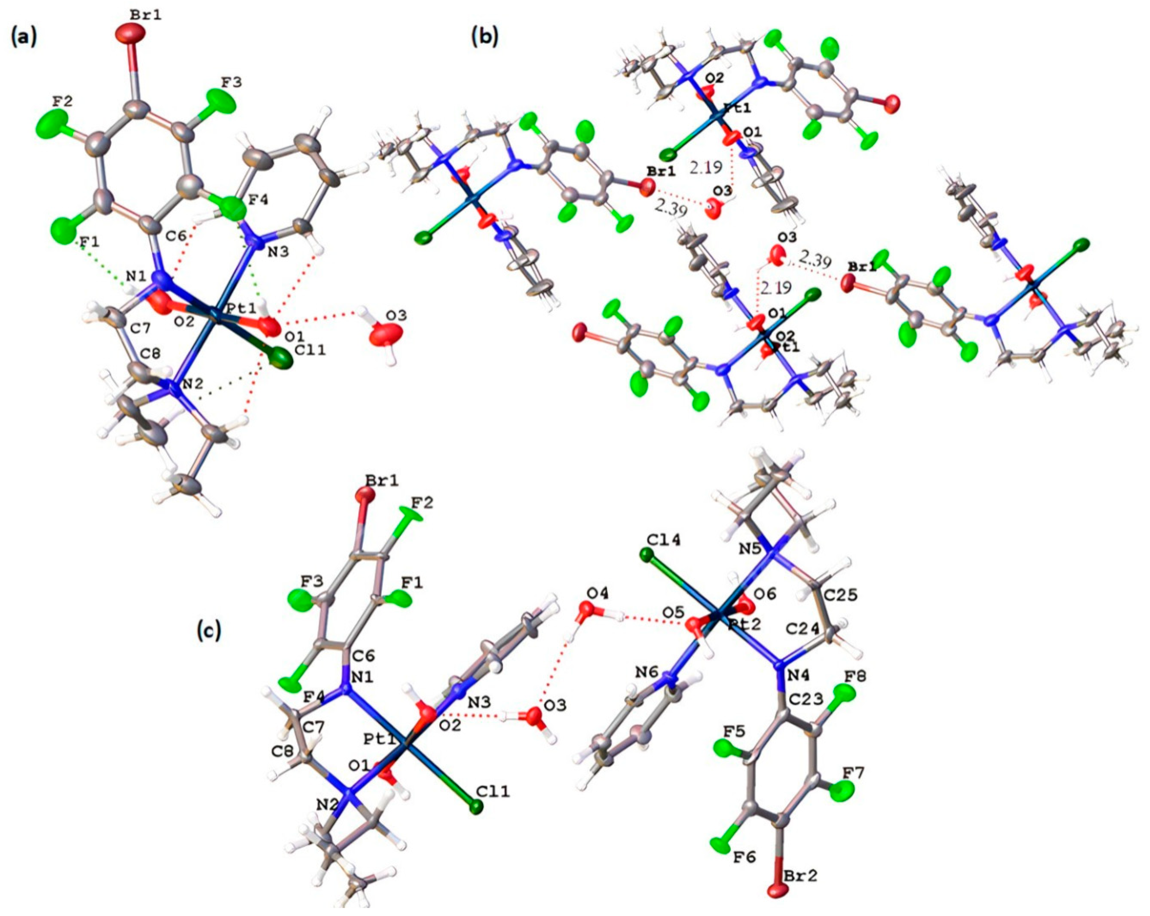 Molecules 28 06402 g002